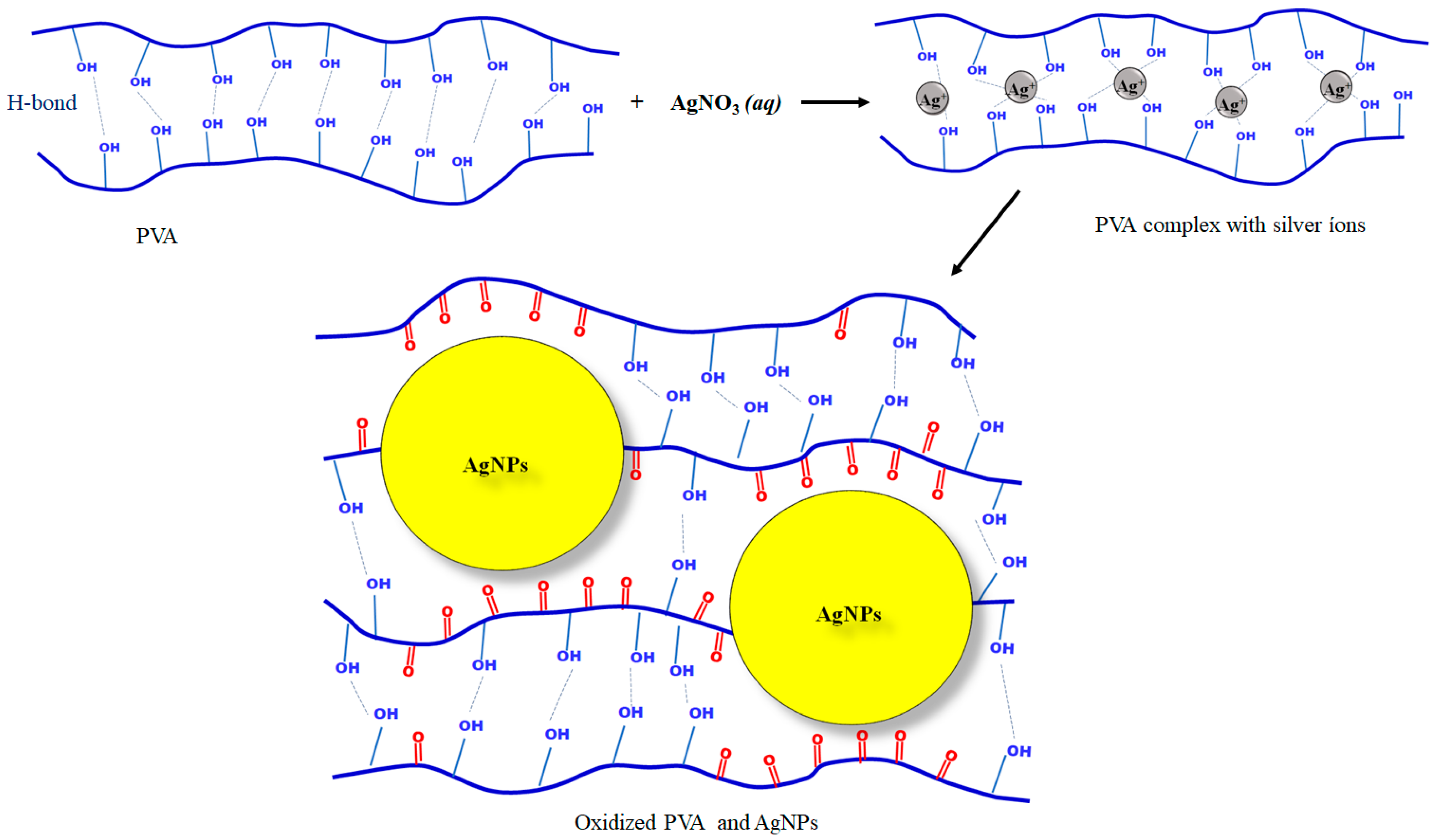 Pharmaceutics 16 00268 g003
