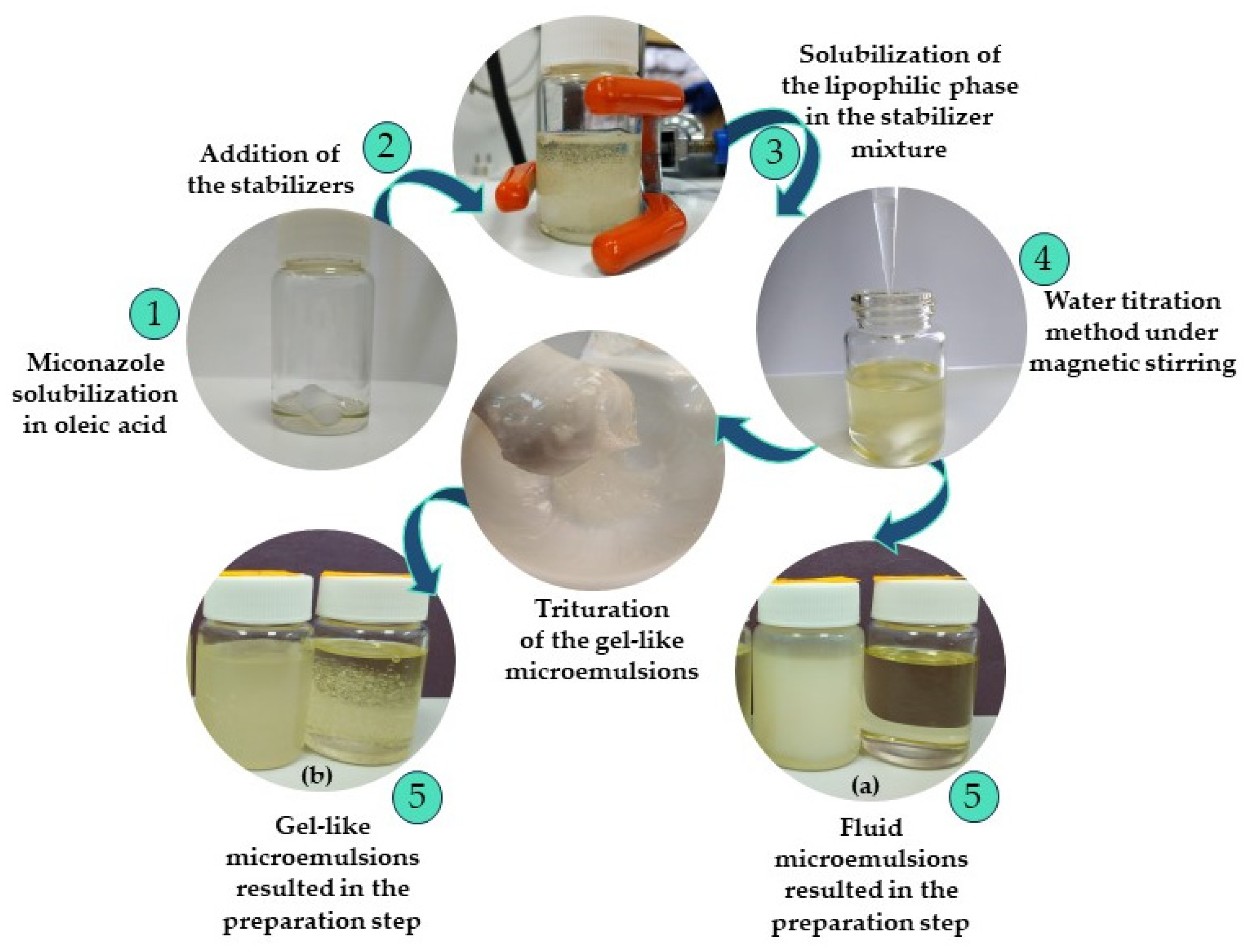 Pharmaceutics 16 00271 g001 Pharmaceutics 16 00271 g001
