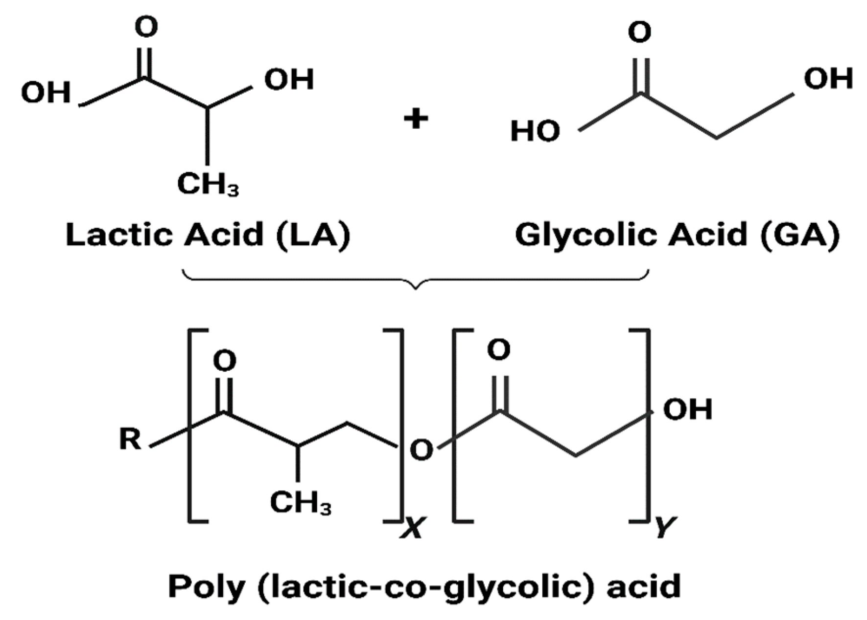Pharmaceutics 16 00273 g001 Pharmaceutics 16 00273 g001
