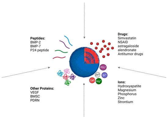 Harnessing the Potential of PLGA Nanoparticles for Enhanced