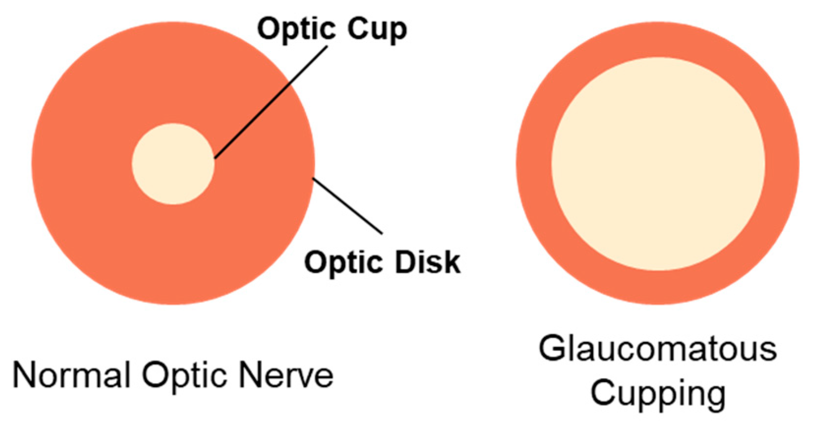 Pharmaceutics 16 00274 g002 Pharmaceutics 16 00274 g002
