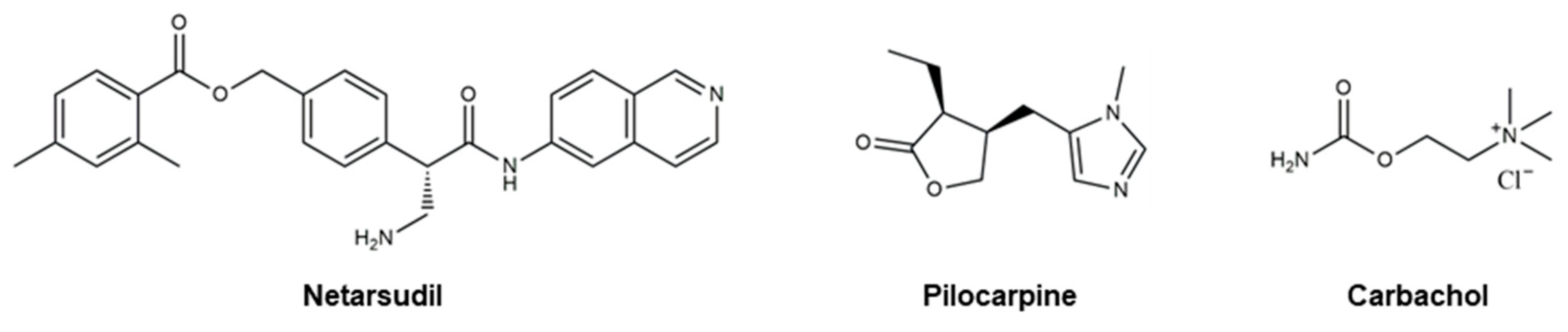 Pharmaceutics 16 00274 g007 Pharmaceutics 16 00274 g007