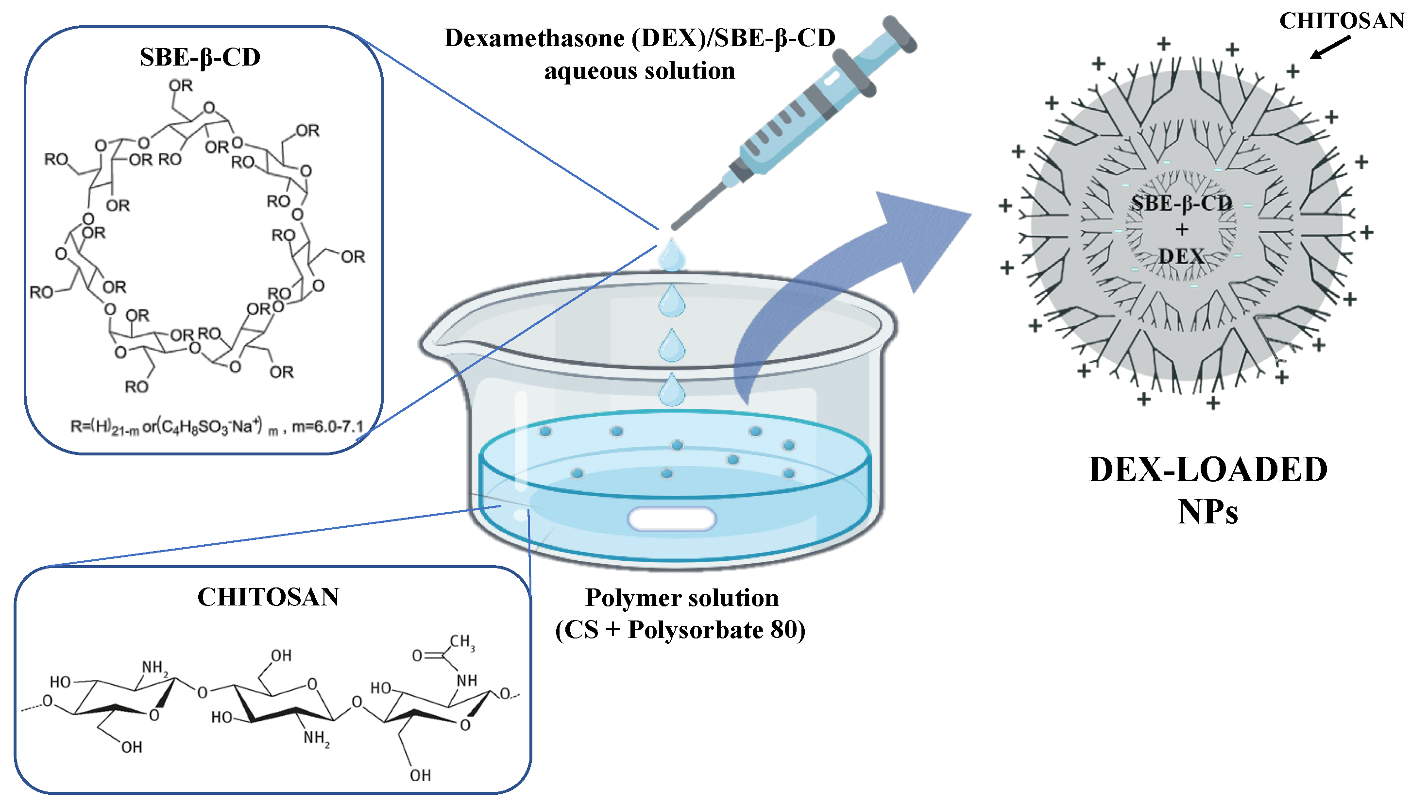 Pharmaceutics 16 00277 g001