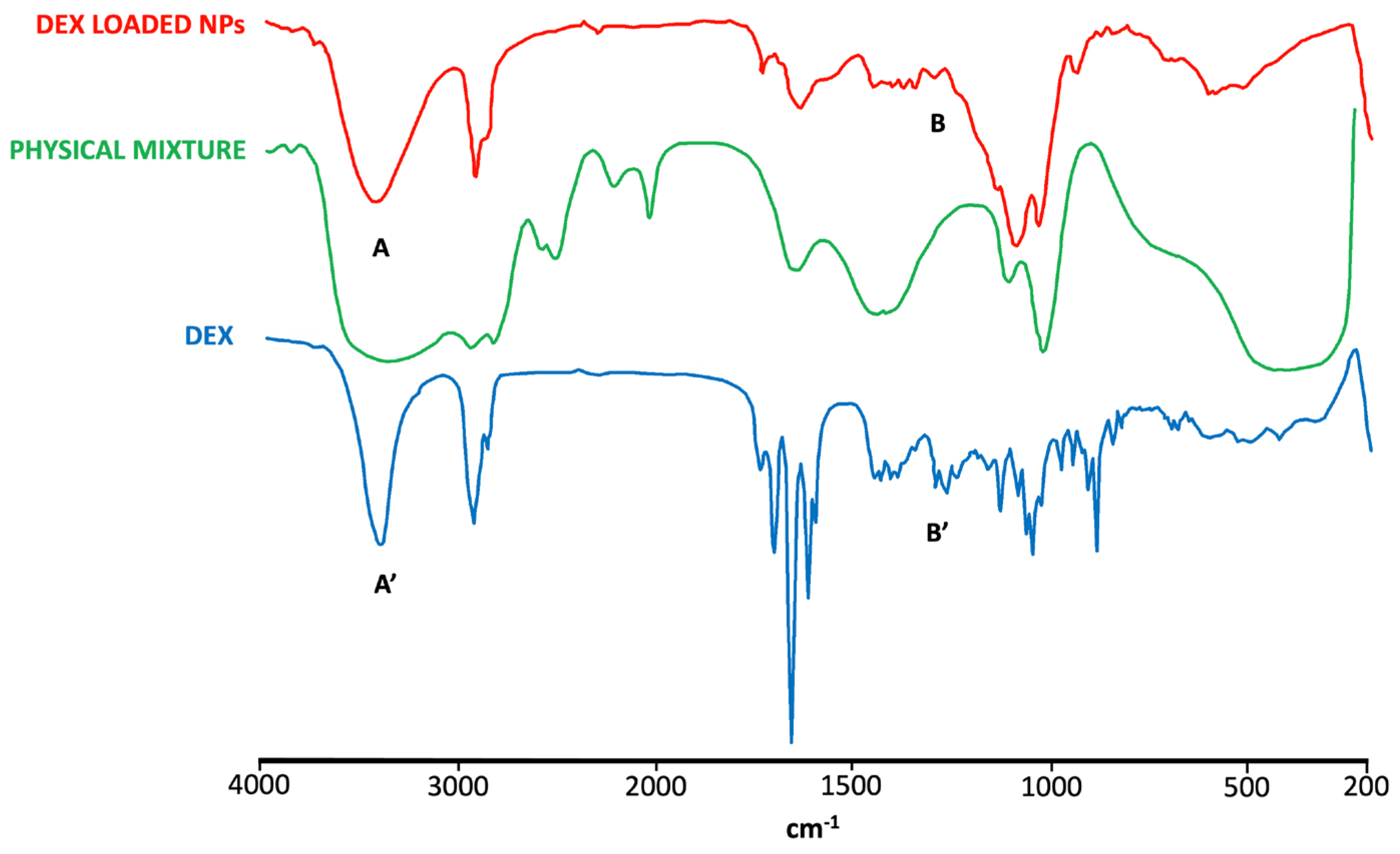 Pharmaceutics 16 00277 g005