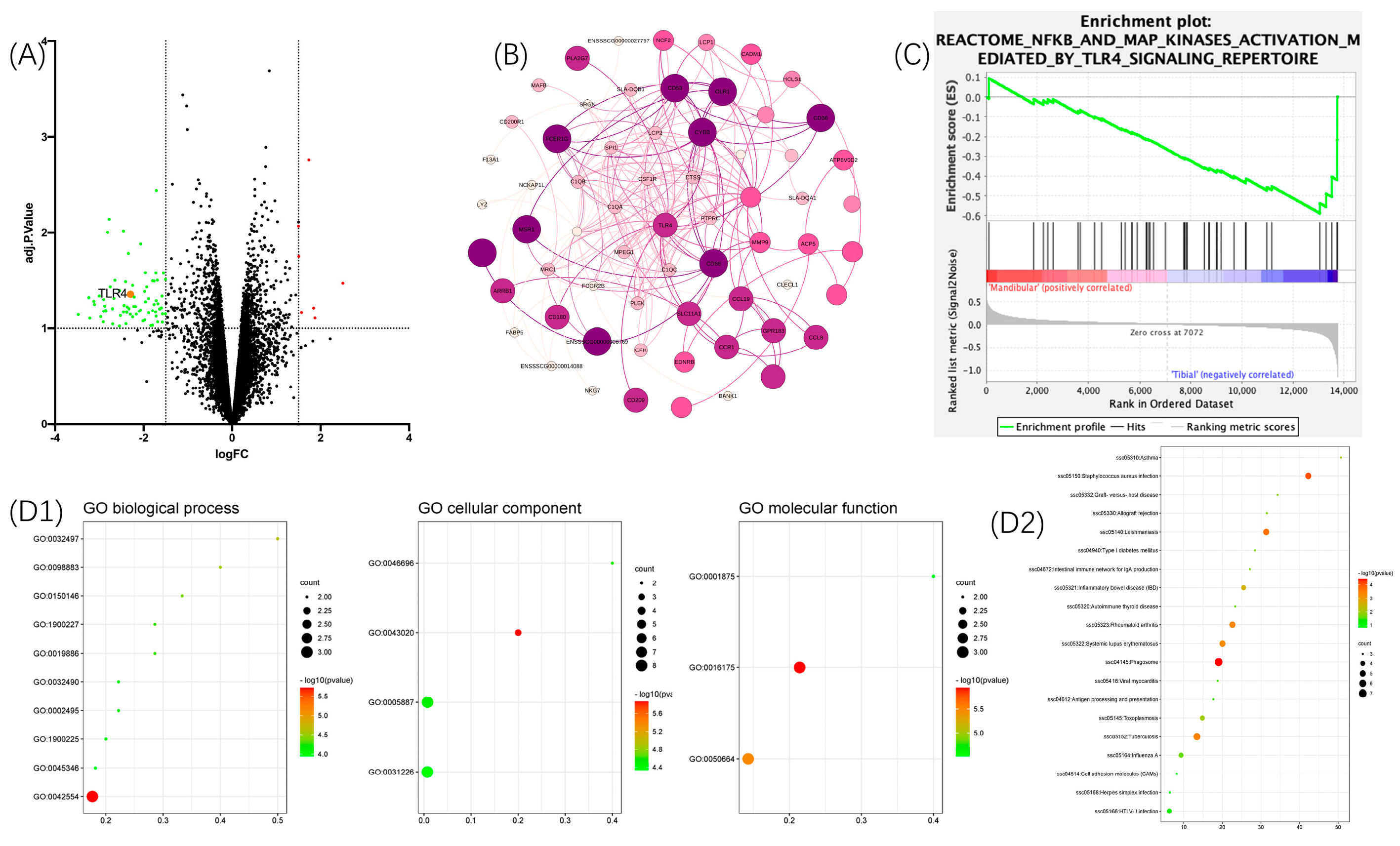 Pharmaceutics 16 00279 g001