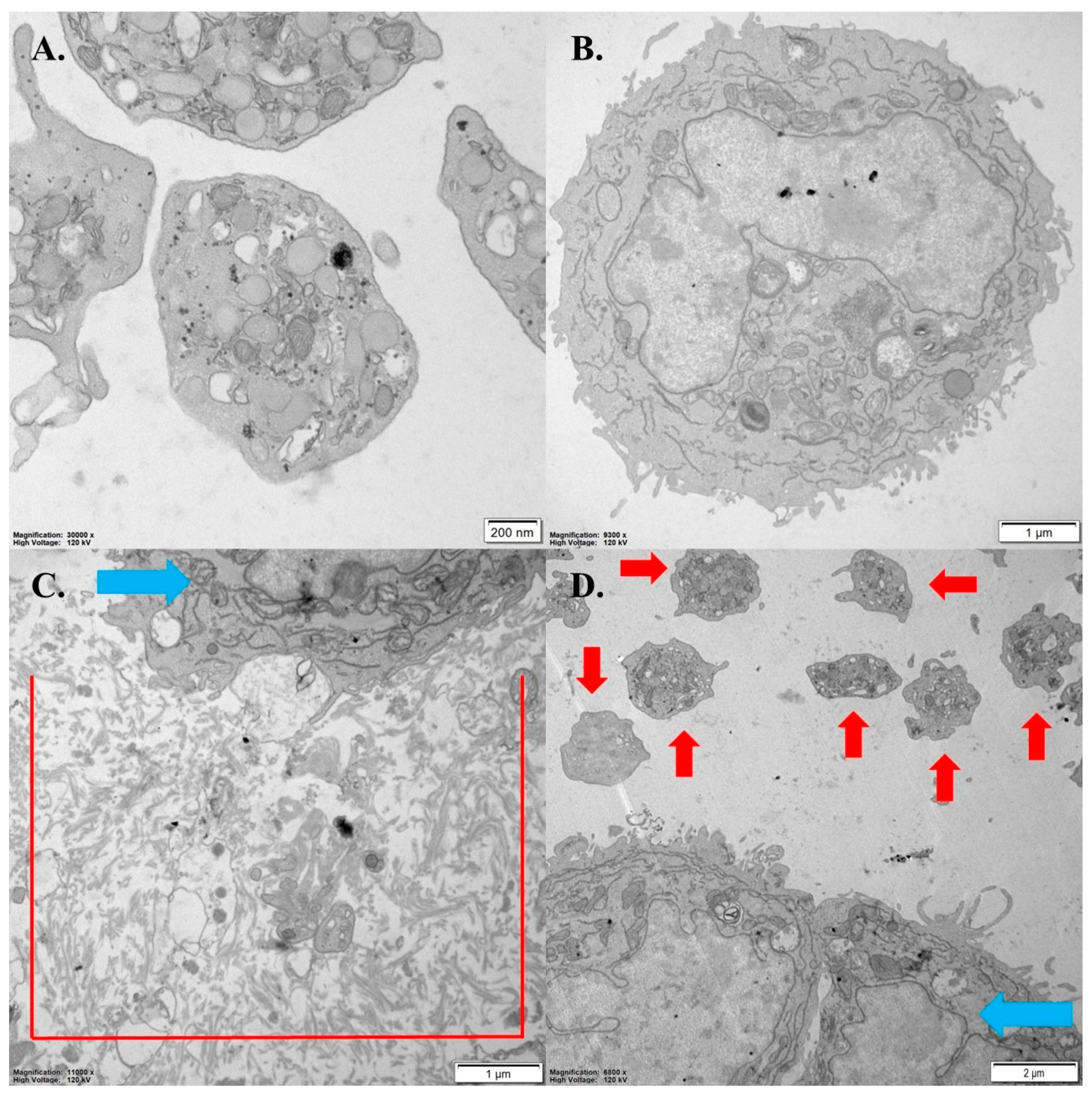 Pharmaceutics 16 00283 g009 Pharmaceutics 16 00283 g009