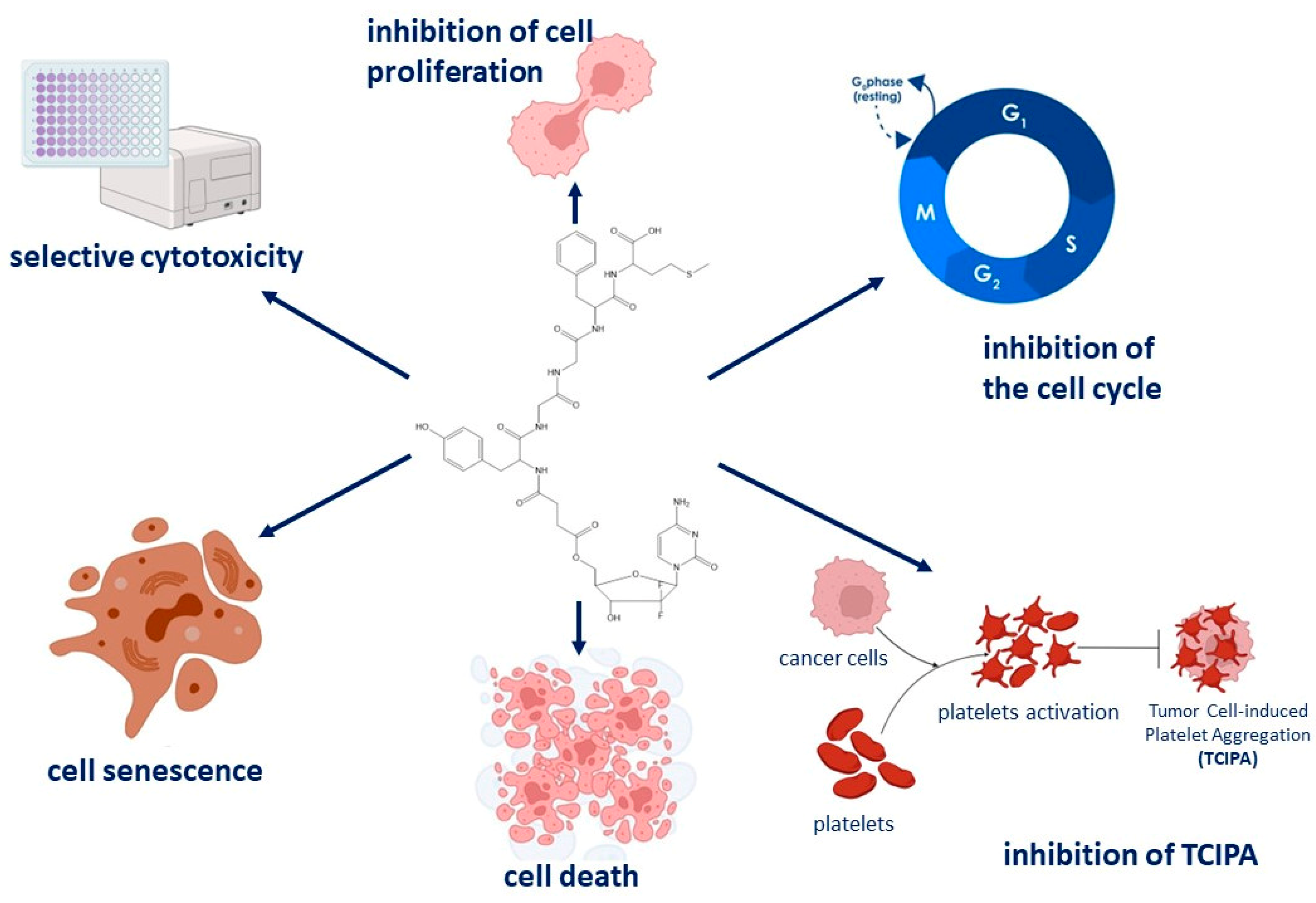 Pharmaceutics 16 00283 g010 Pharmaceutics 16 00283 g010