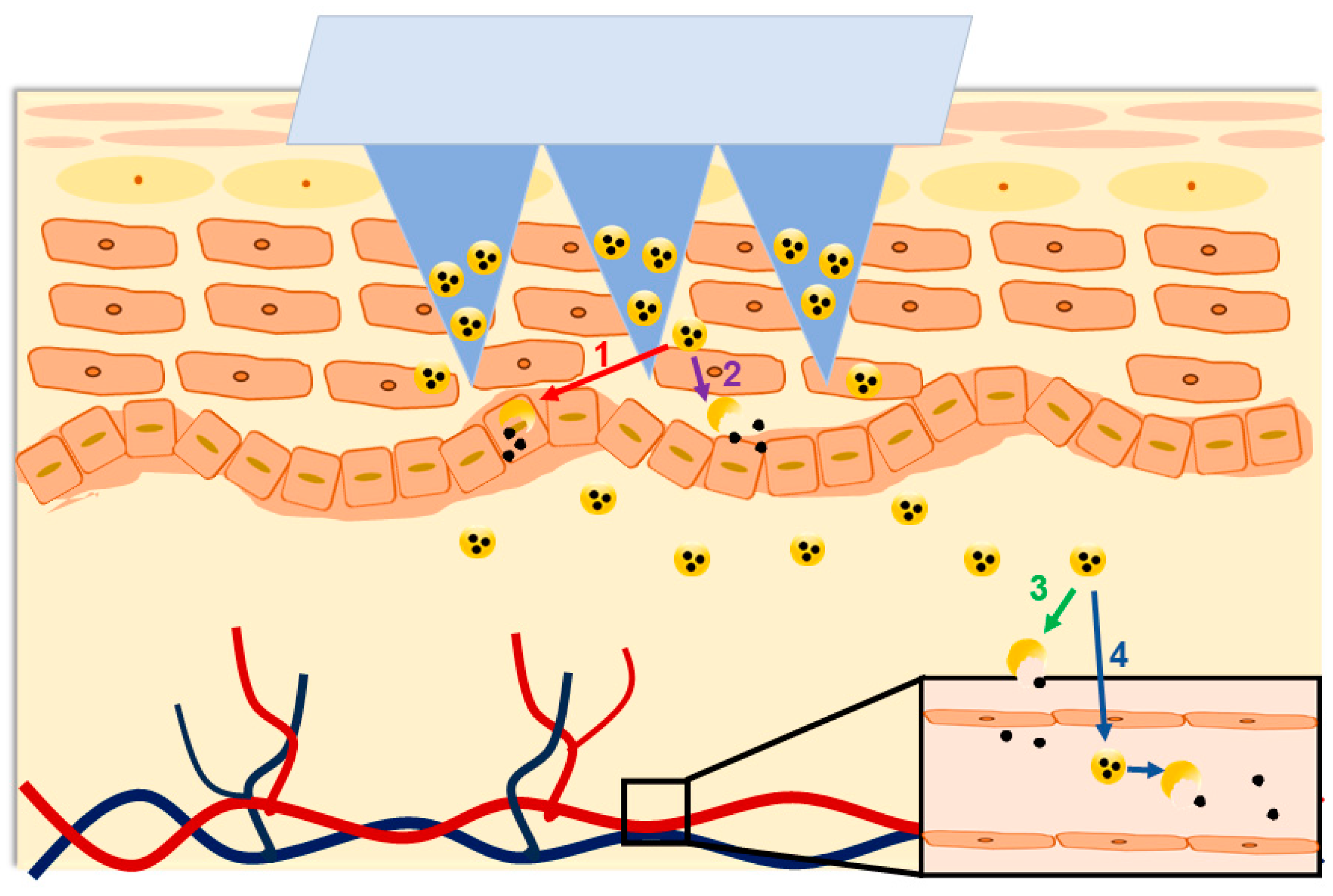 Pharmaceutics 16 00286 g004 Pharmaceutics 16 00286 g004