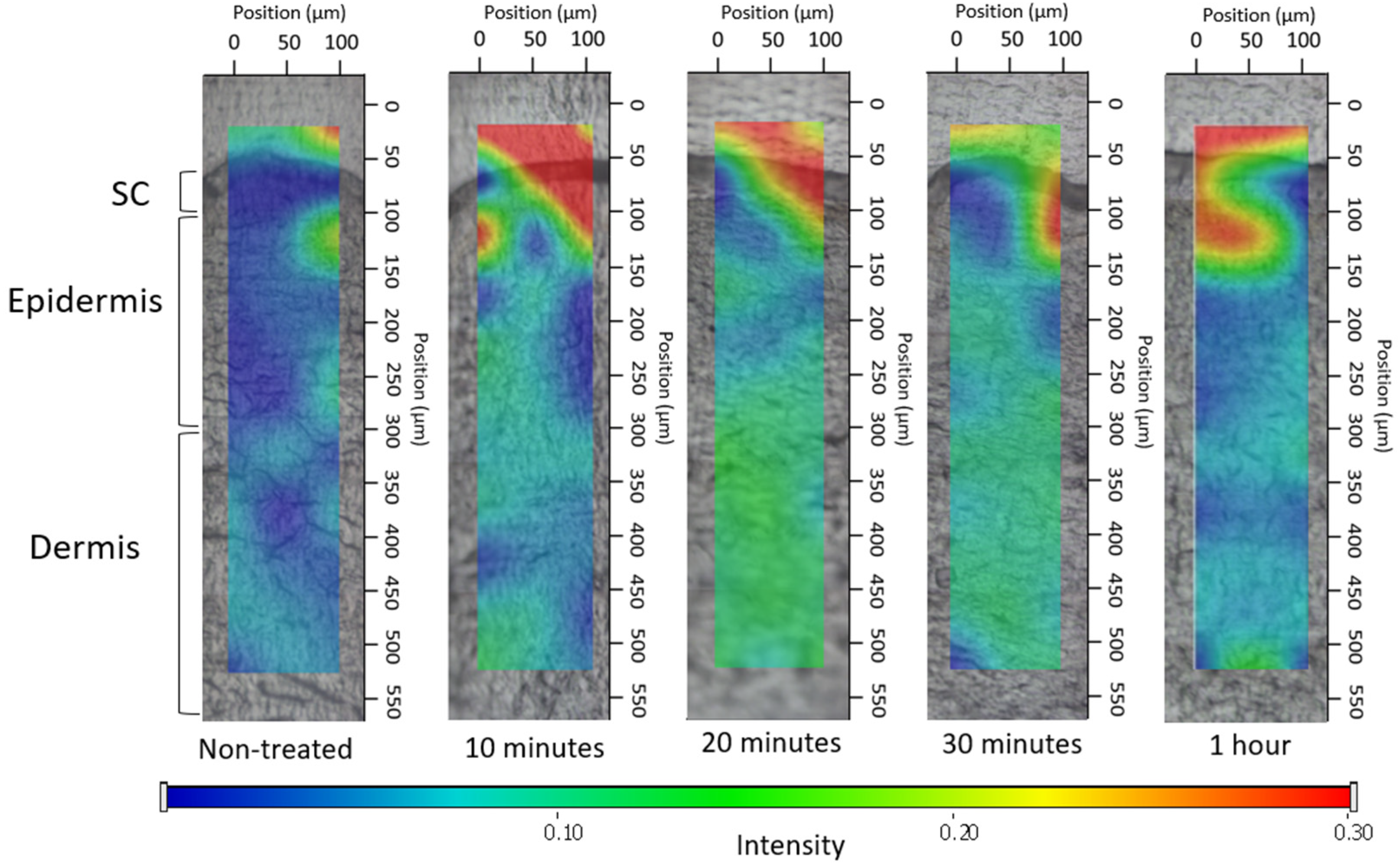 Pharmaceutics 16 00287 g007