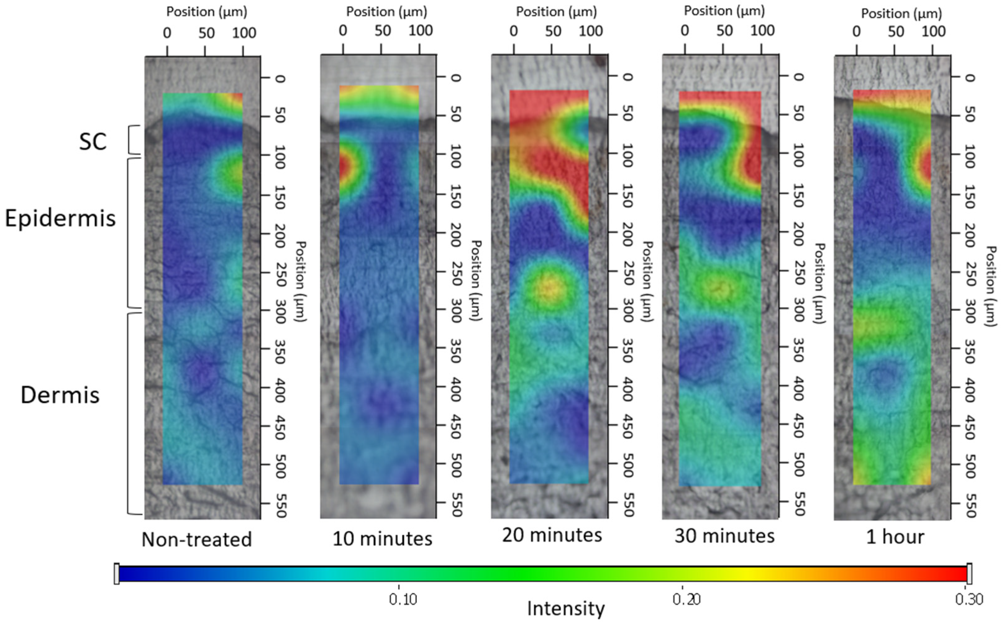 Pharmaceutics 16 00287 g008