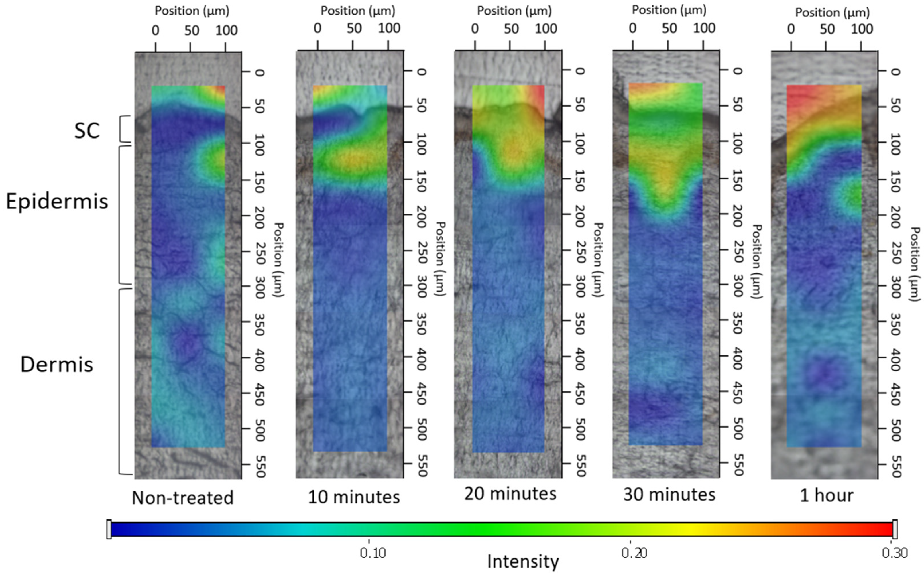 Pharmaceutics 16 00287 g009