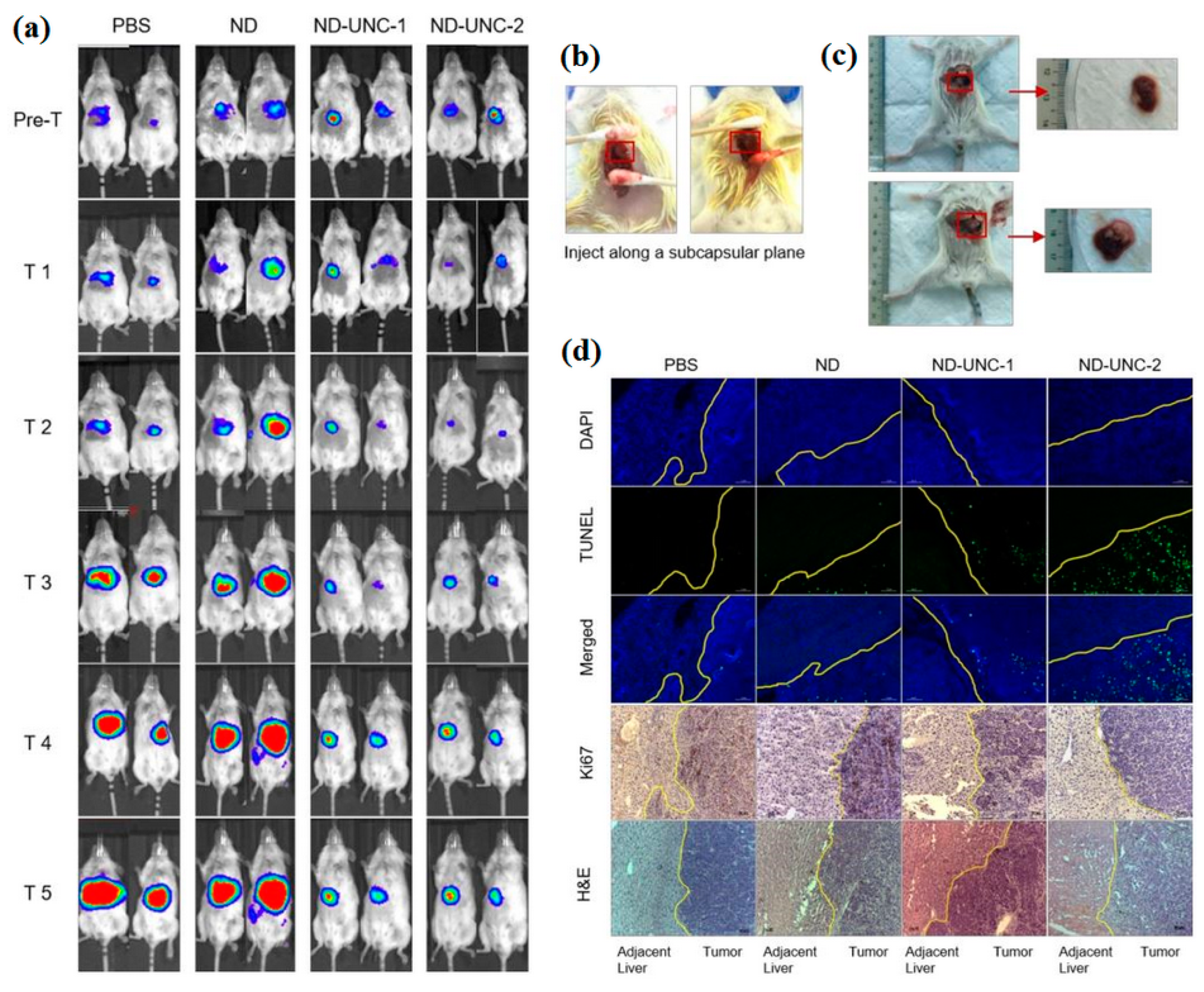 Pharmaceutics 16 00288 g006