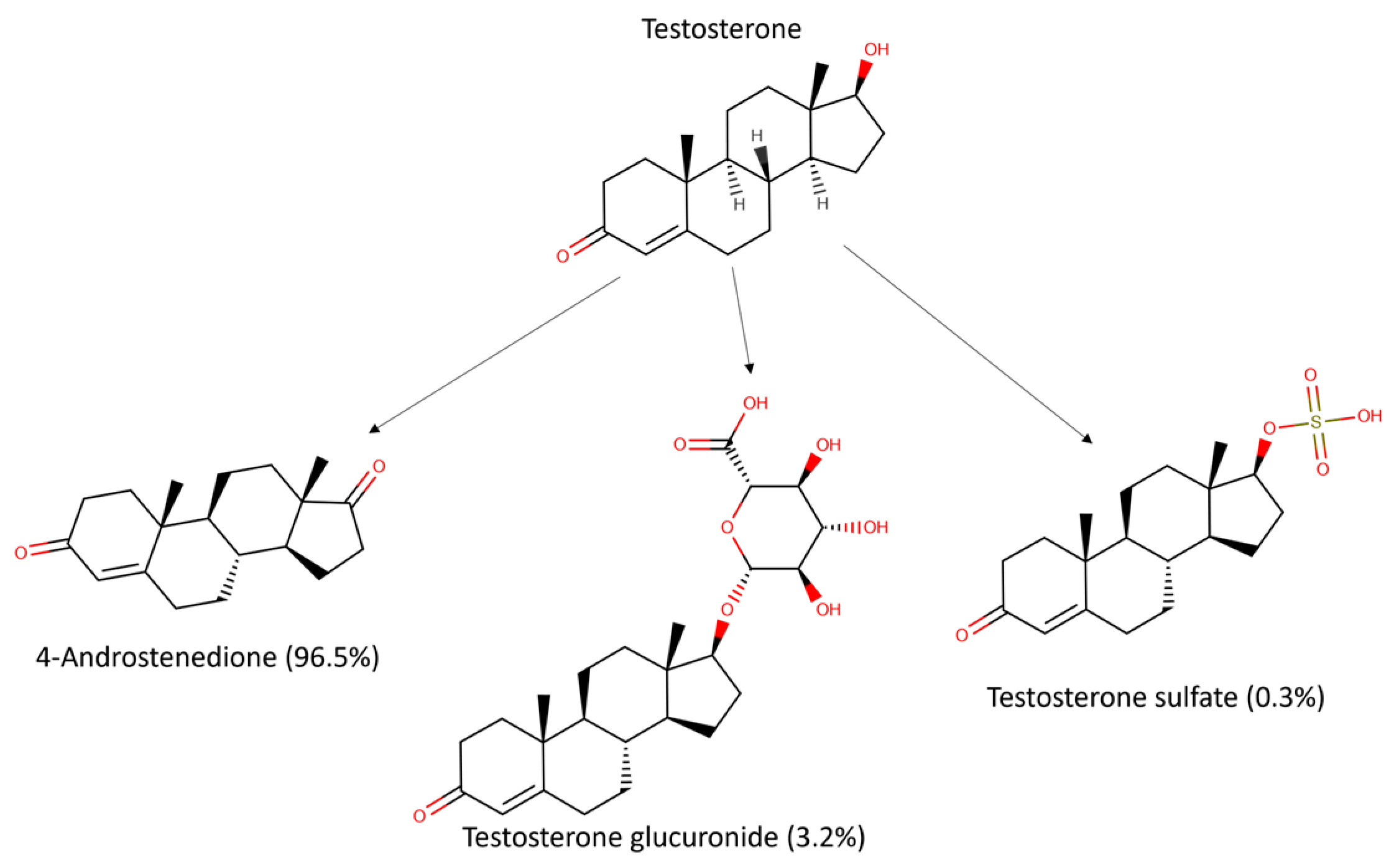 Pharmaceutics 16 00296 g004