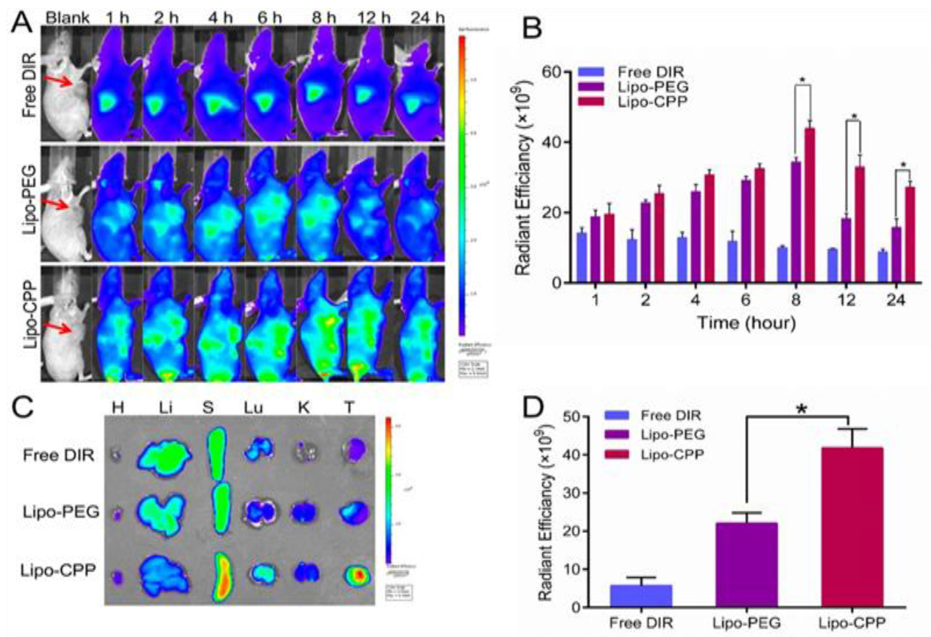 Pharmaceutics 16 00297 g006