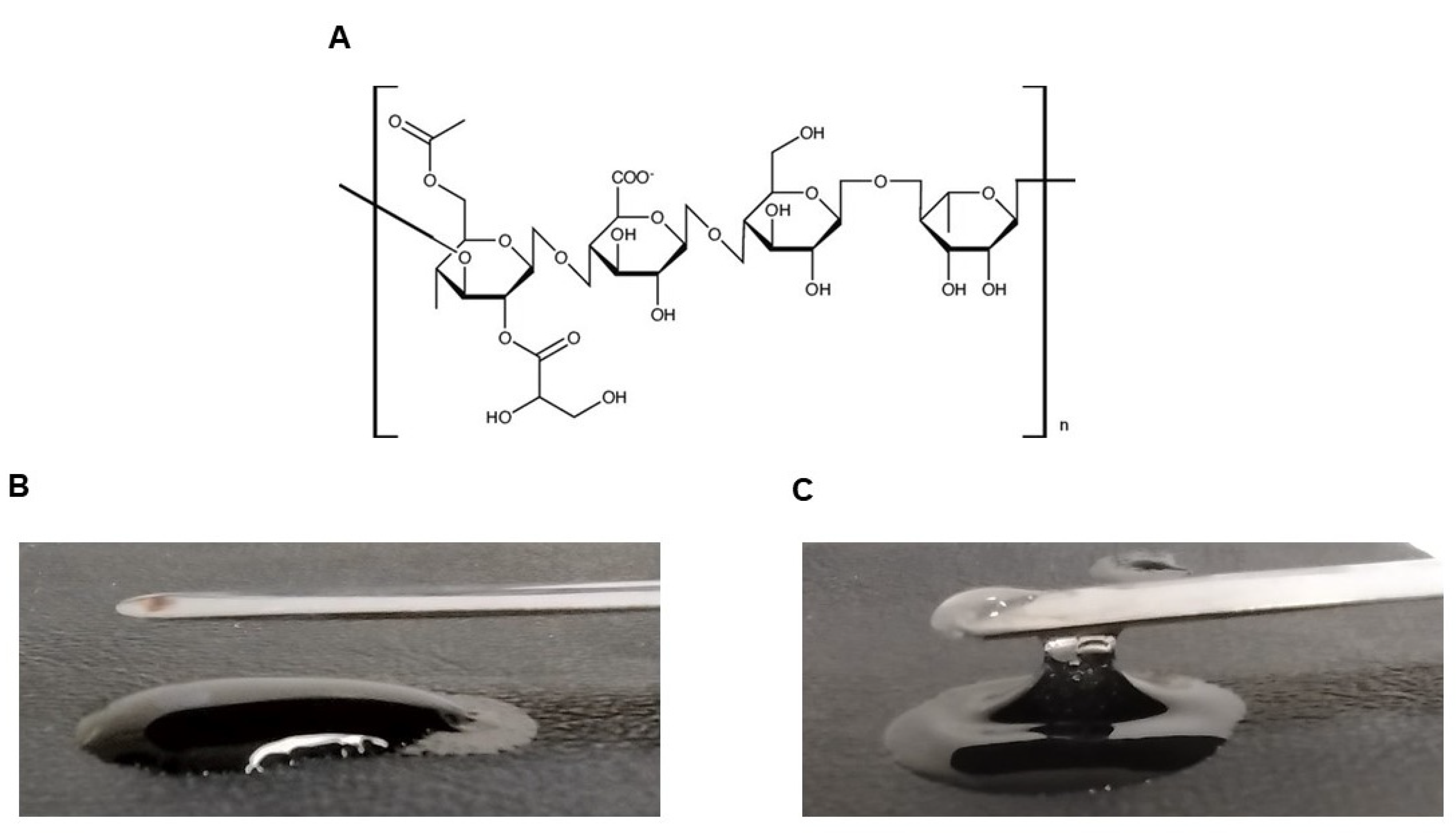 Pharmaceutics 16 00298 g001 Pharmaceutics 16 00298 g001