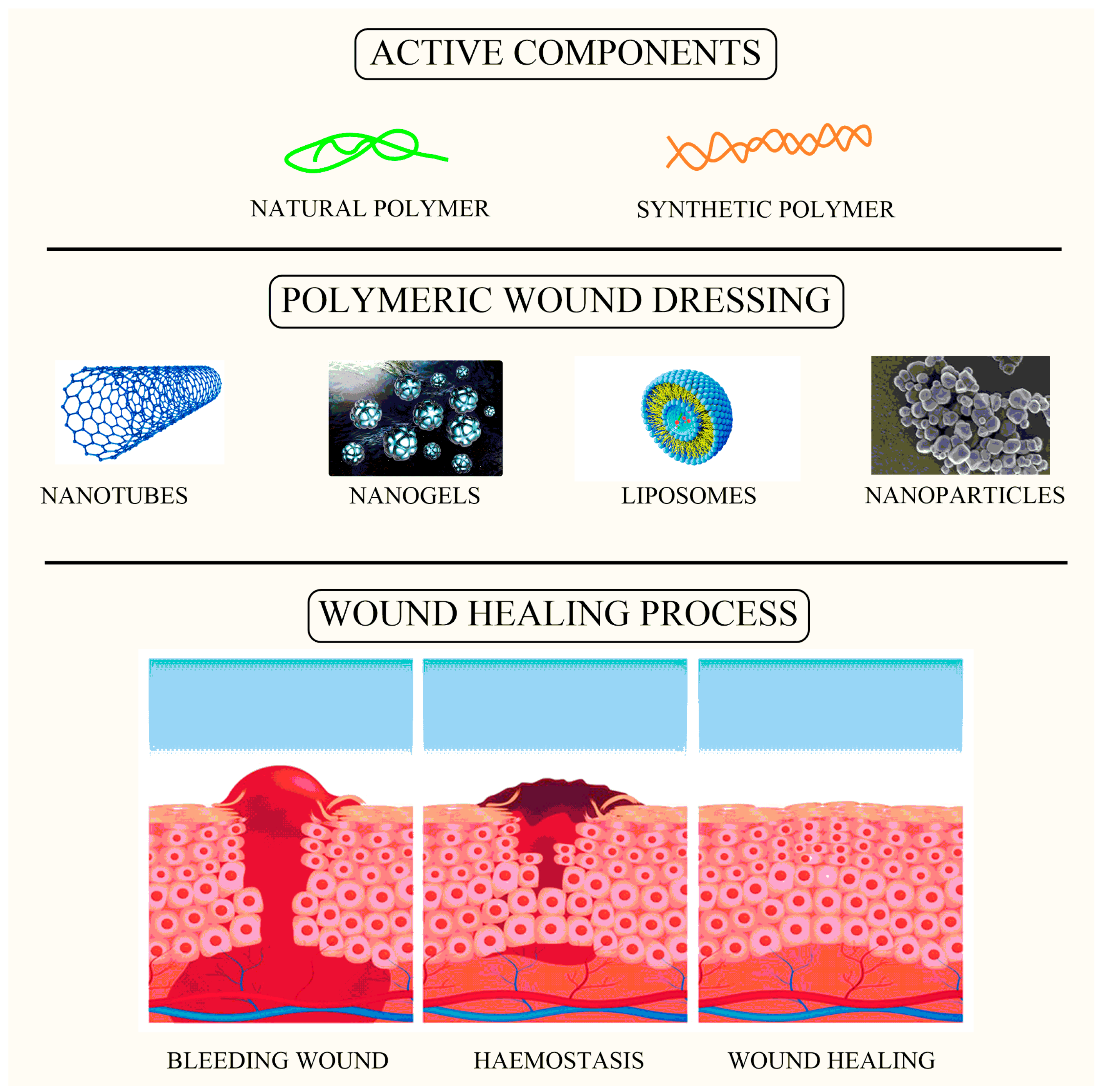 Nanomaterials in the Wound Healing Process: New Insights and 