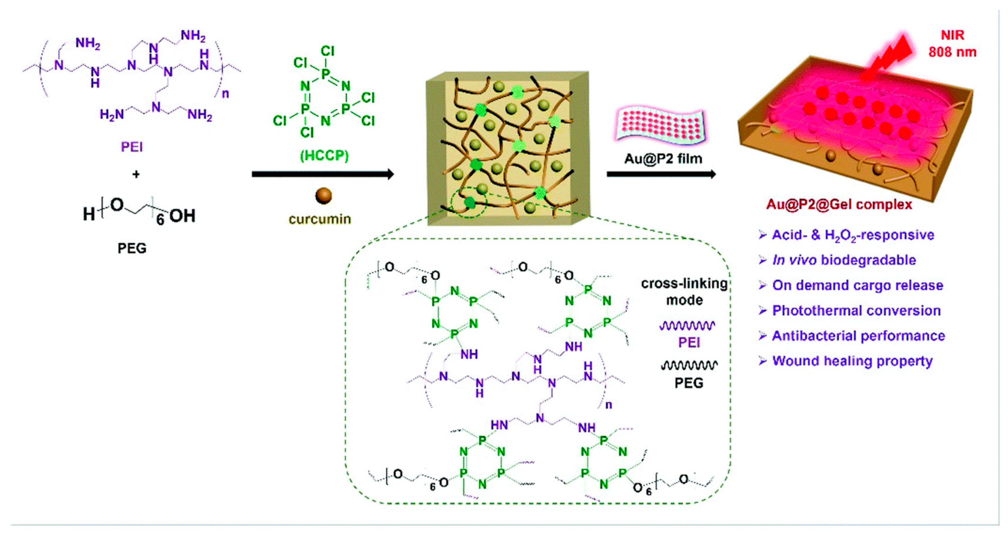 Pharmaceutics 16 00300 g003