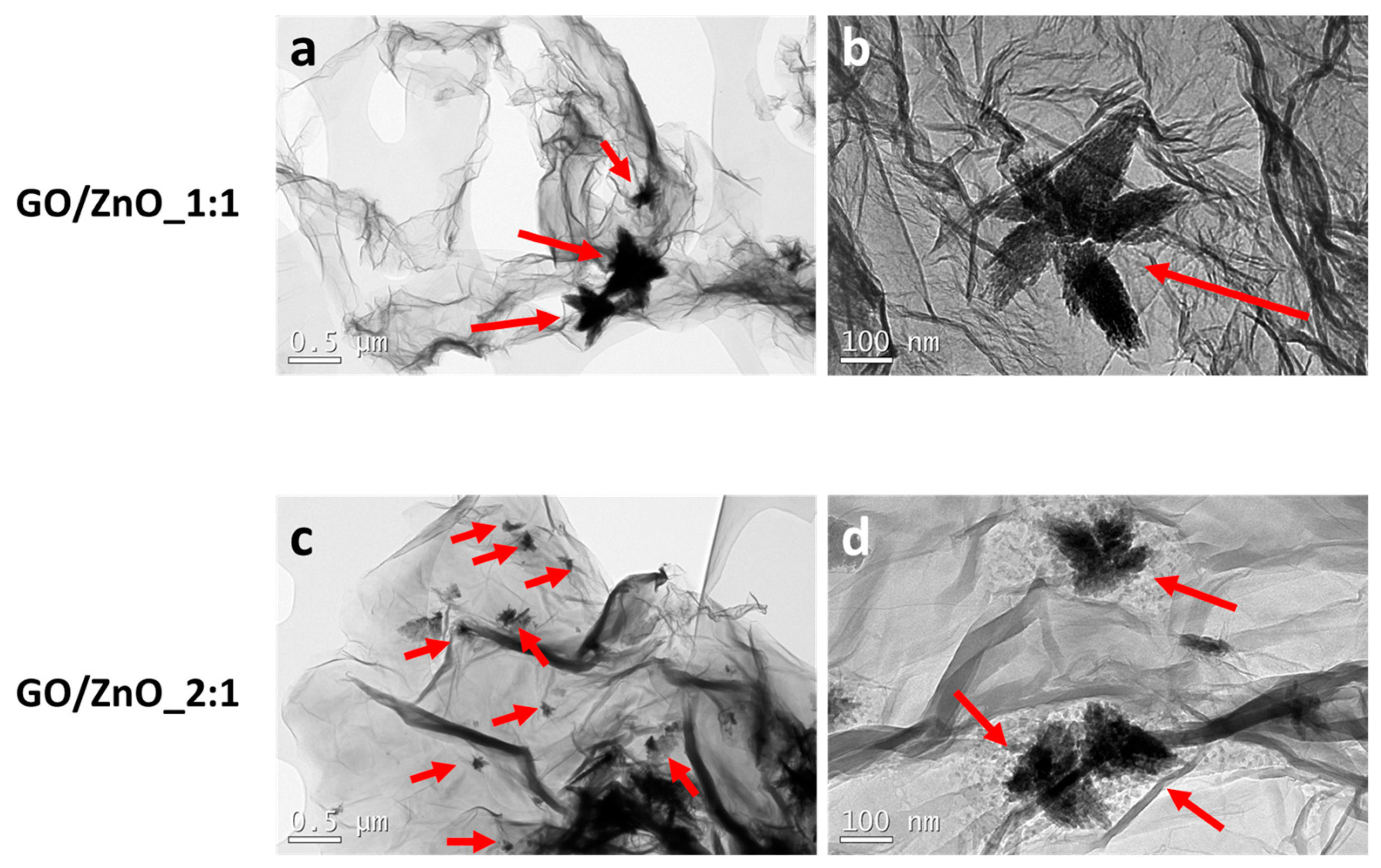 Pharmaceutics 16 00305 g001