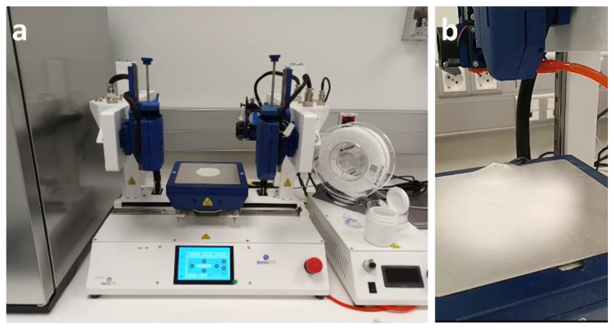 Pharmaceutics 16 00305 g004