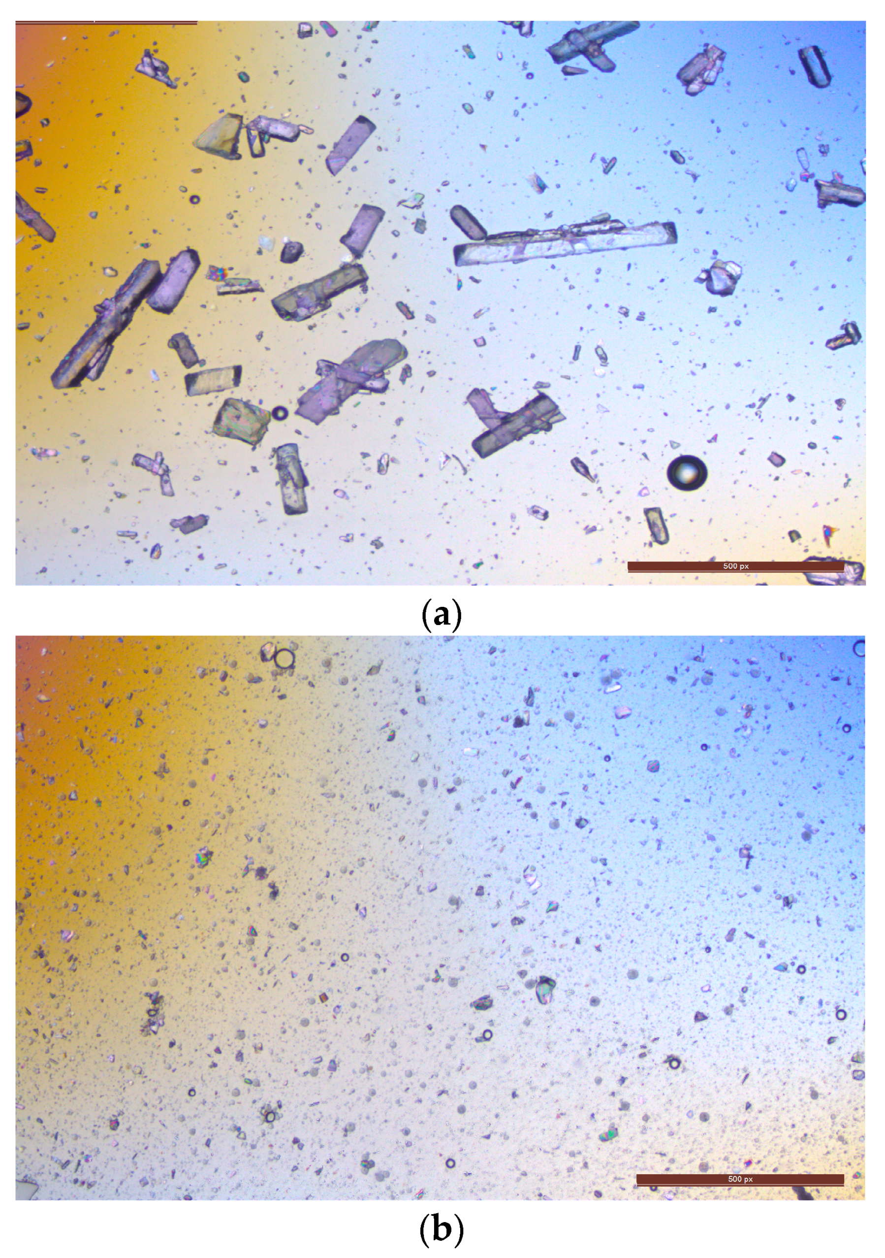 Pharmaceutics 16 00308 g005