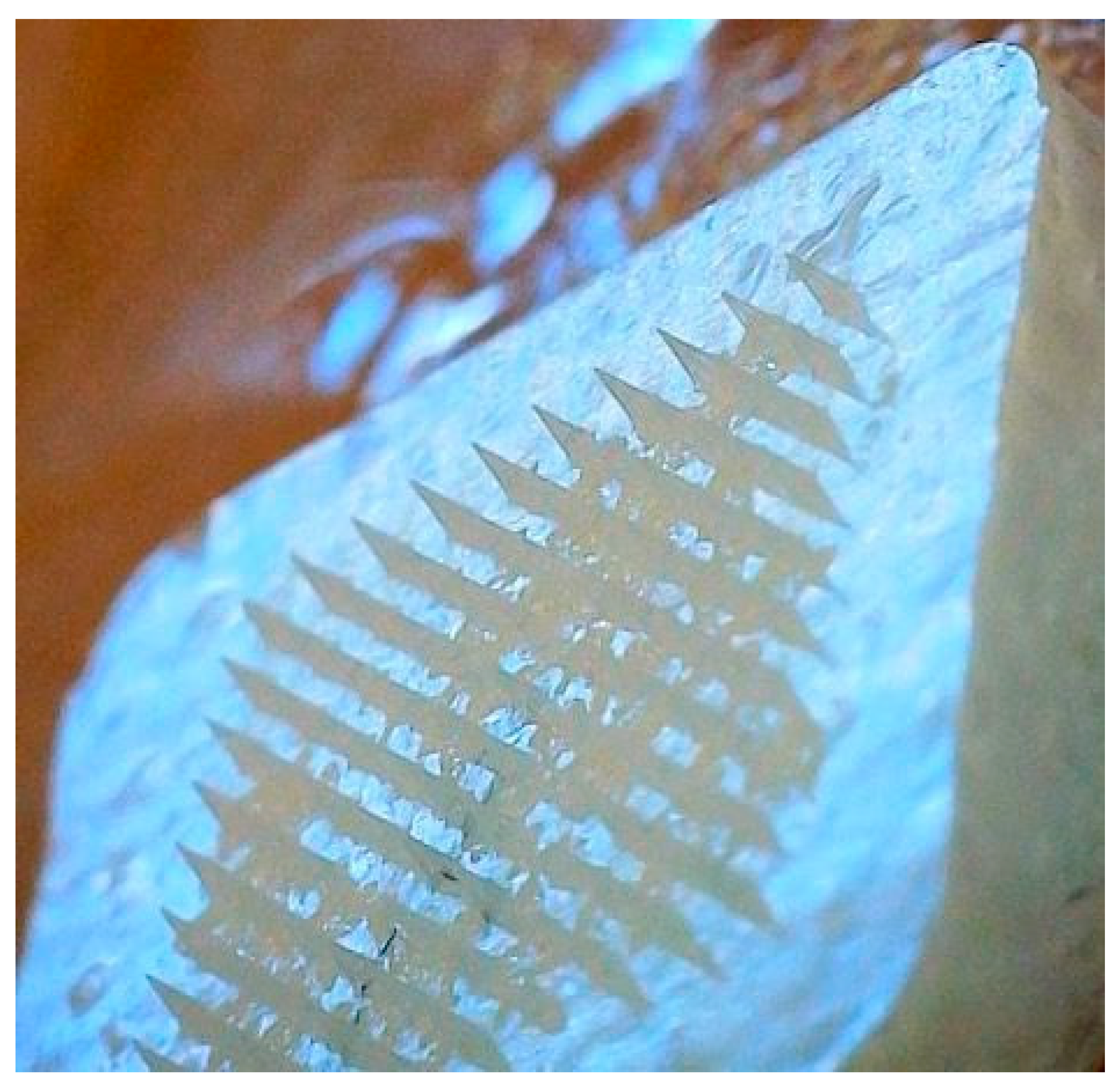 Pharmaceutics 16 00308 g006