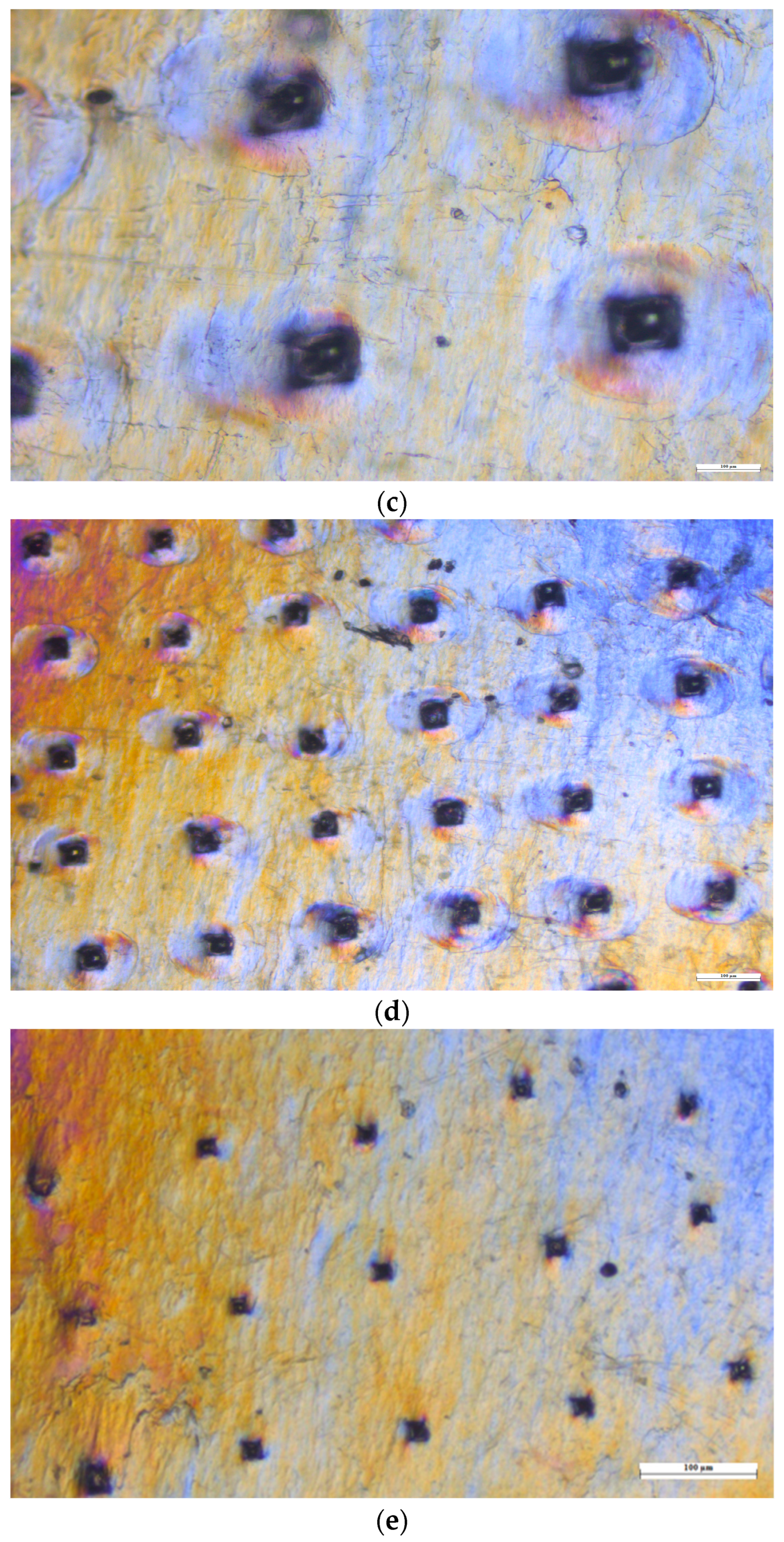 Pharmaceutics 16 00308 g008b