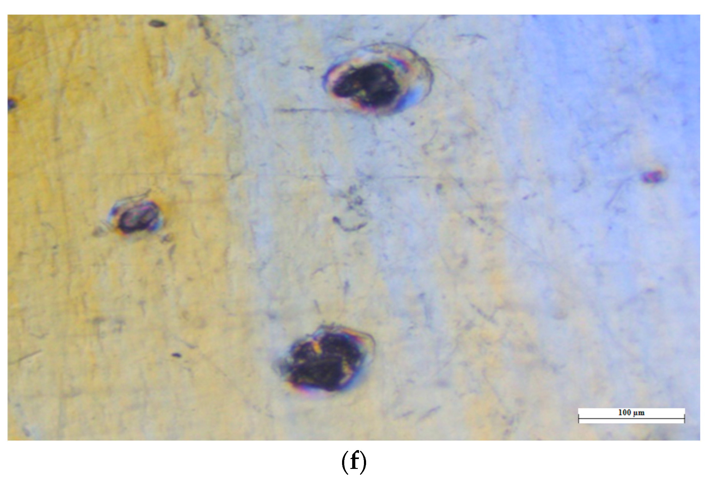 Pharmaceutics 16 00308 g008c