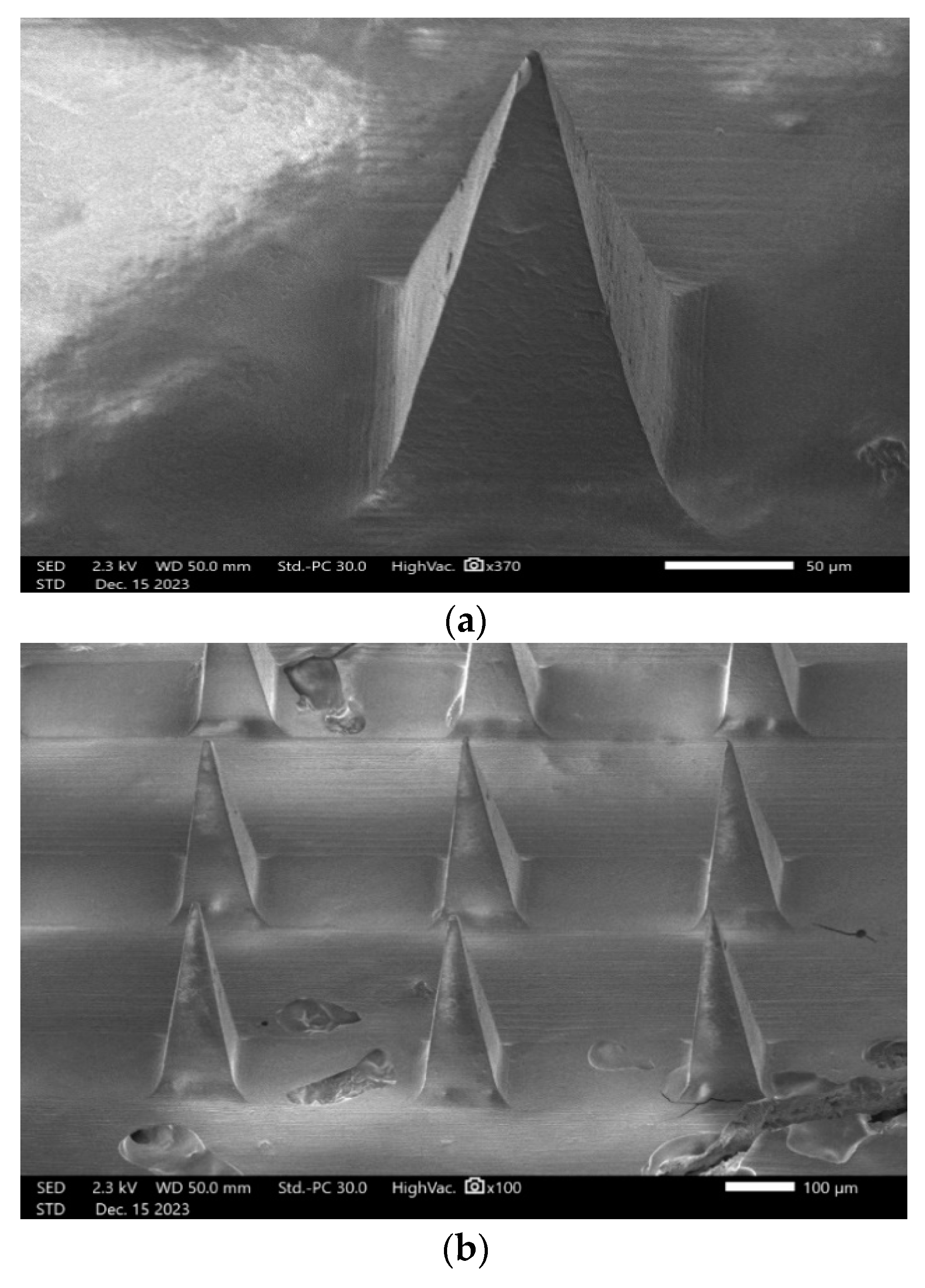 Pharmaceutics 16 00308 g009a