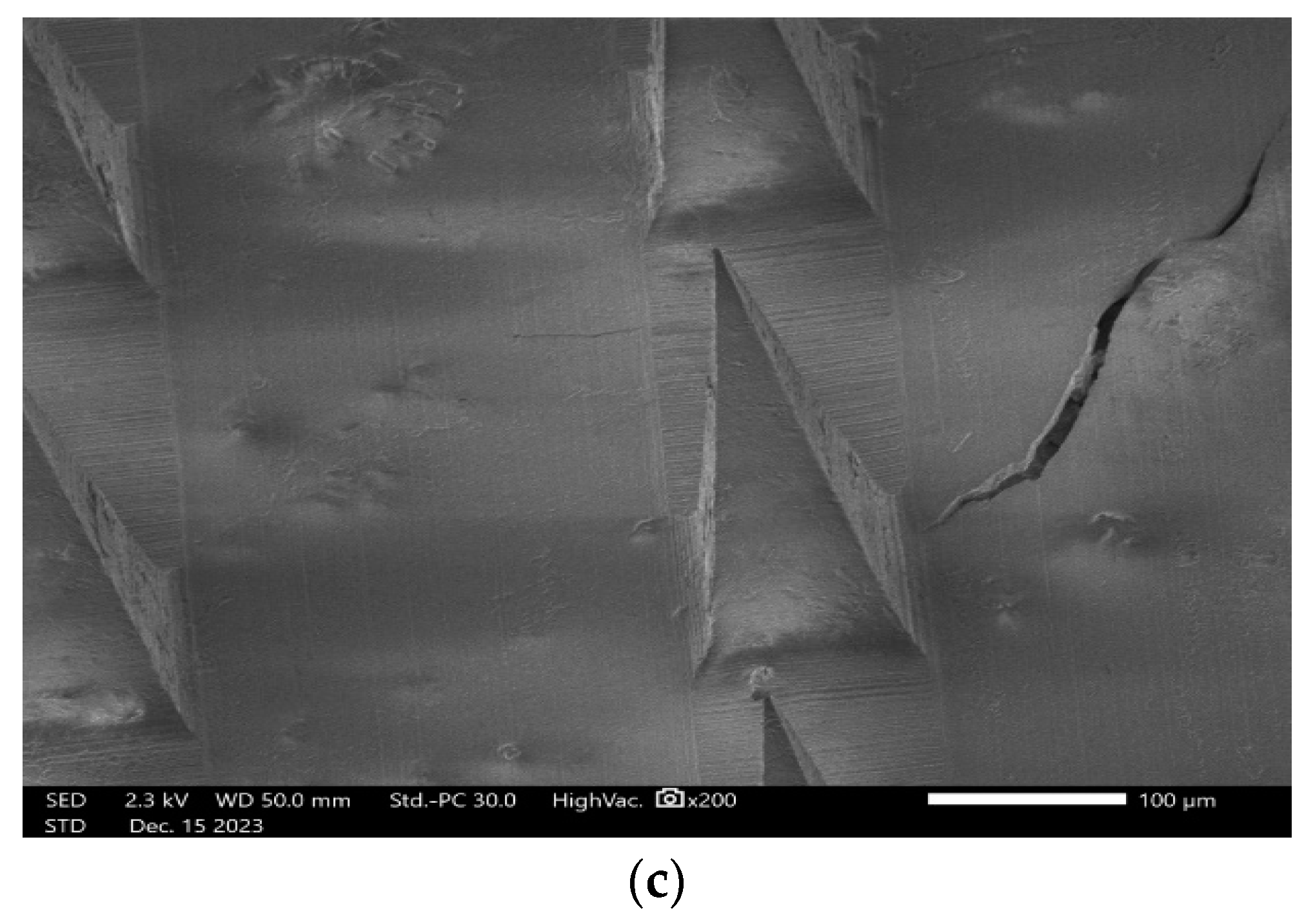 Pharmaceutics 16 00308 g009b