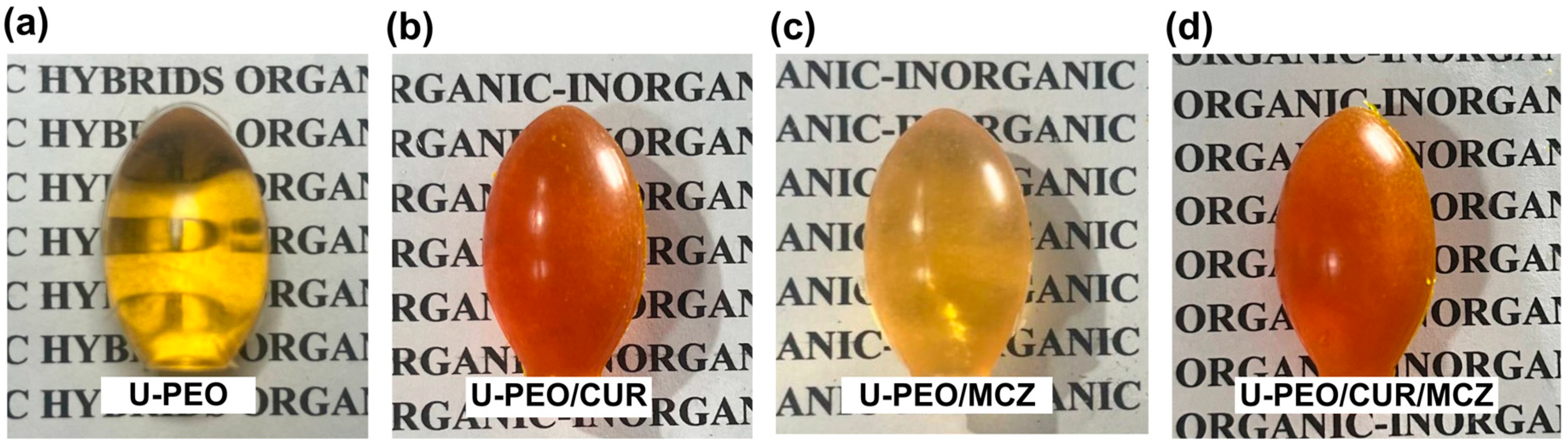Pharmaceutics 16 00312 g001