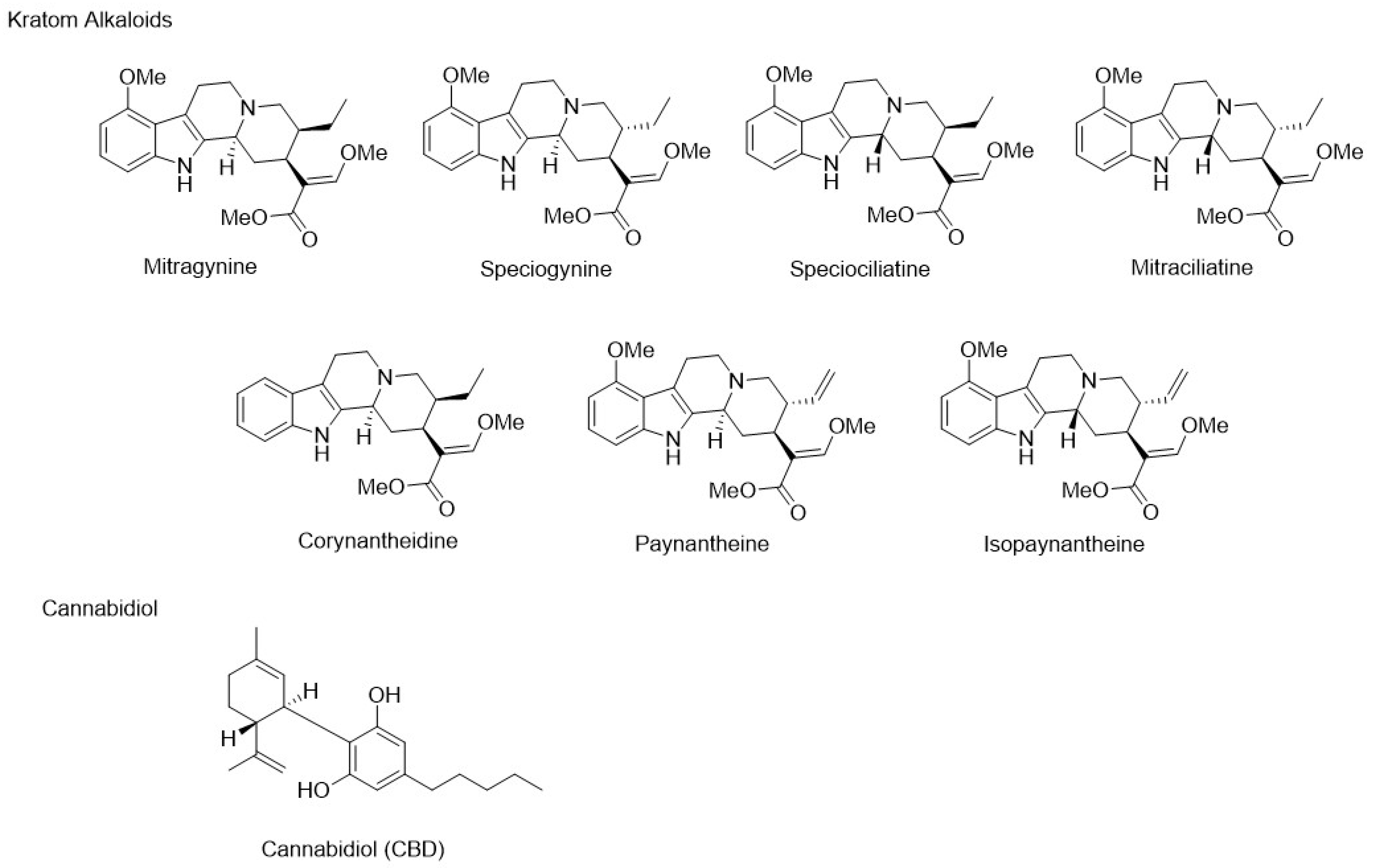 Pharmaceutics 16 00318 g001