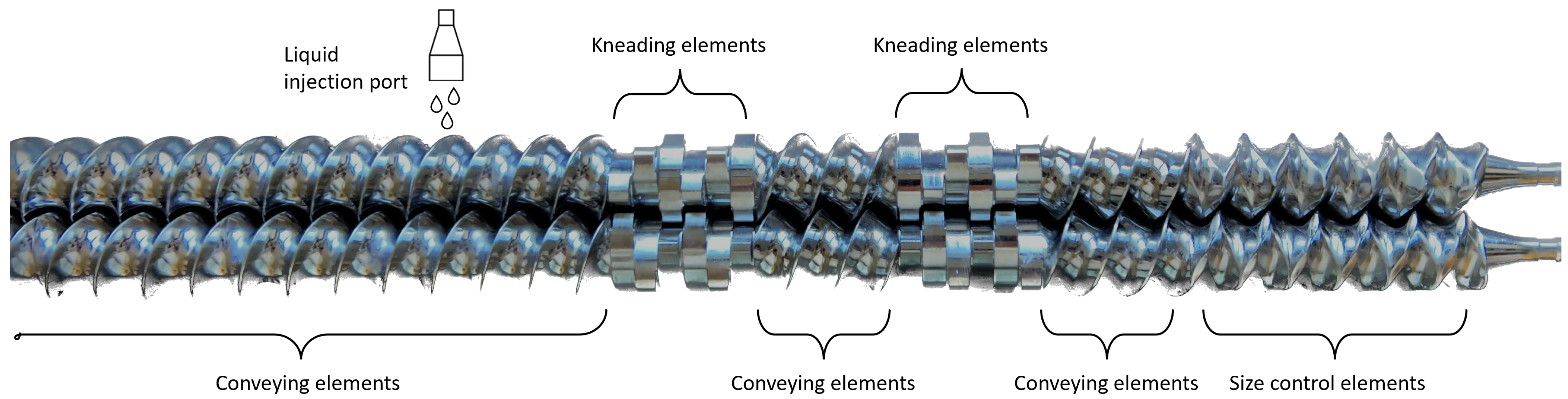 Pharmaceutics 16 00341 g001
