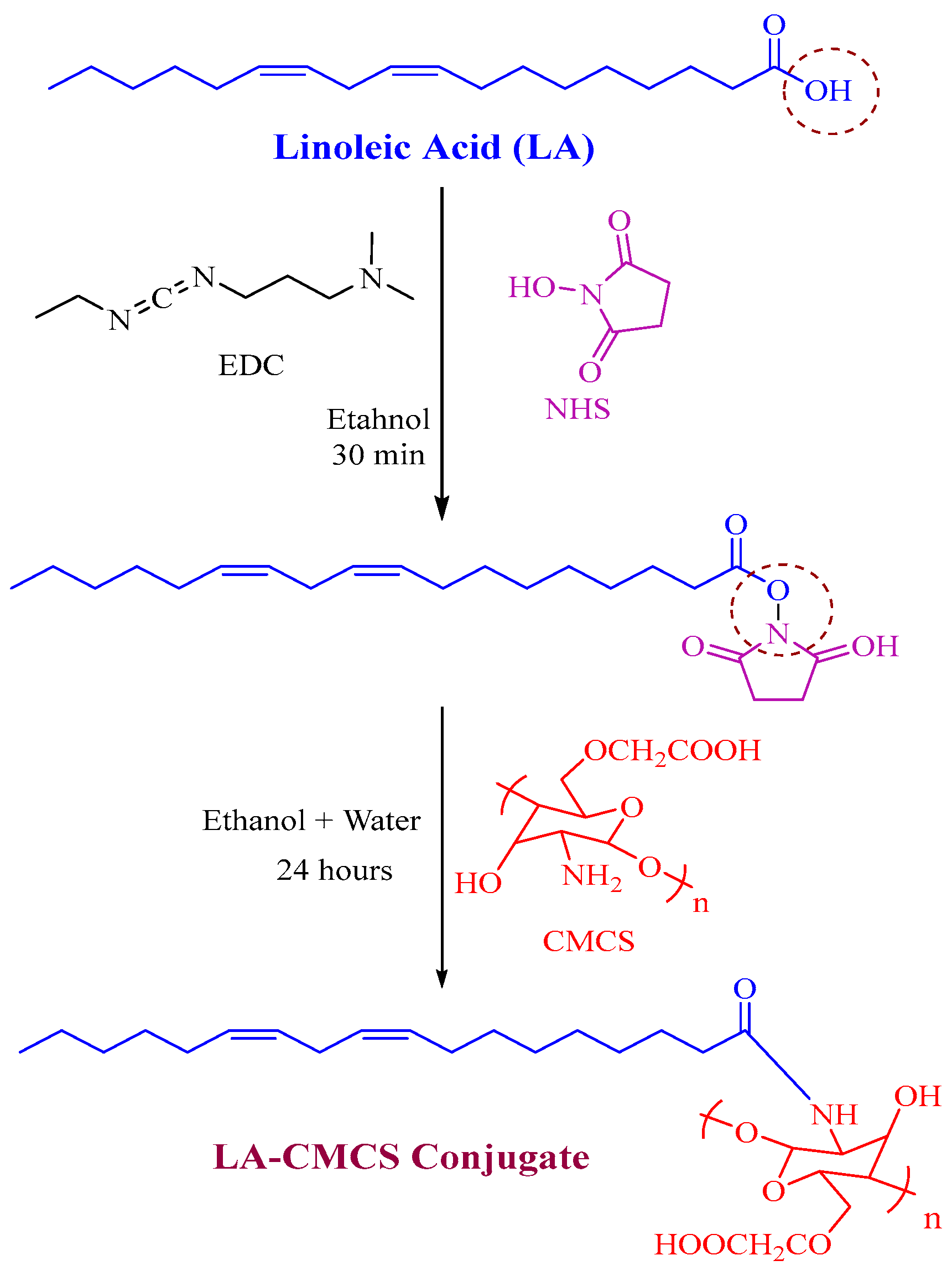Pharmaceutics 16 00342 g001