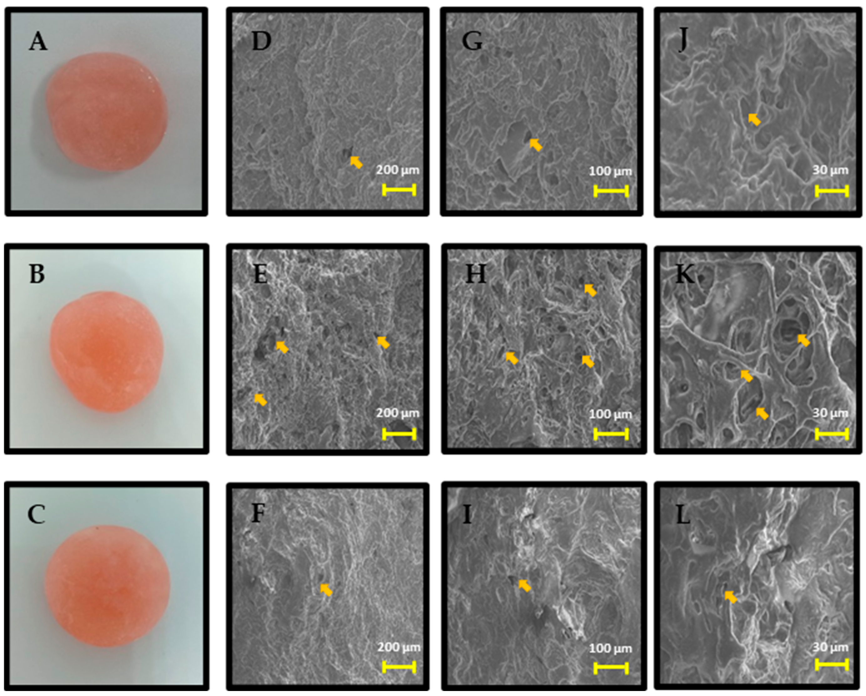 Pharmaceutics 16 00344 g001