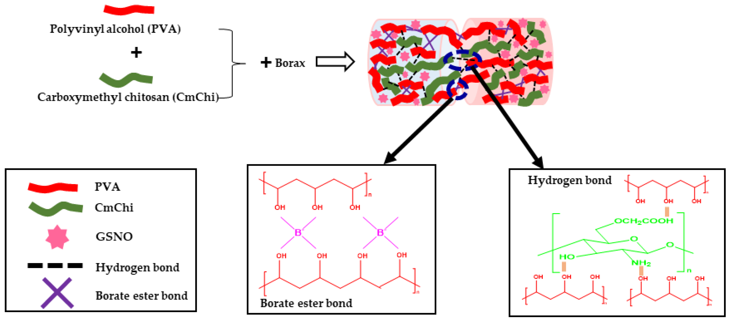 Pharmaceutics 16 00344 sch001