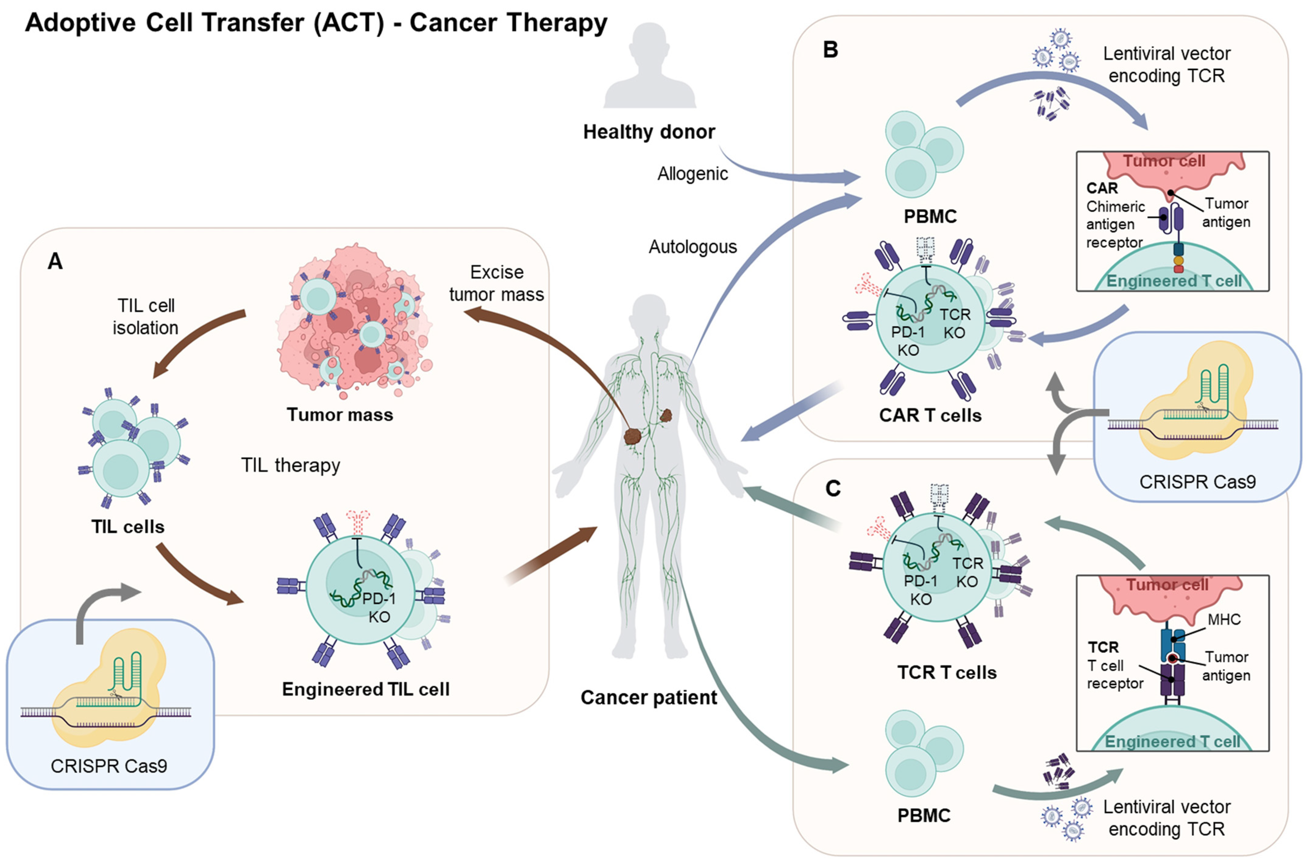 Pharmaceutics 16 00346 g002