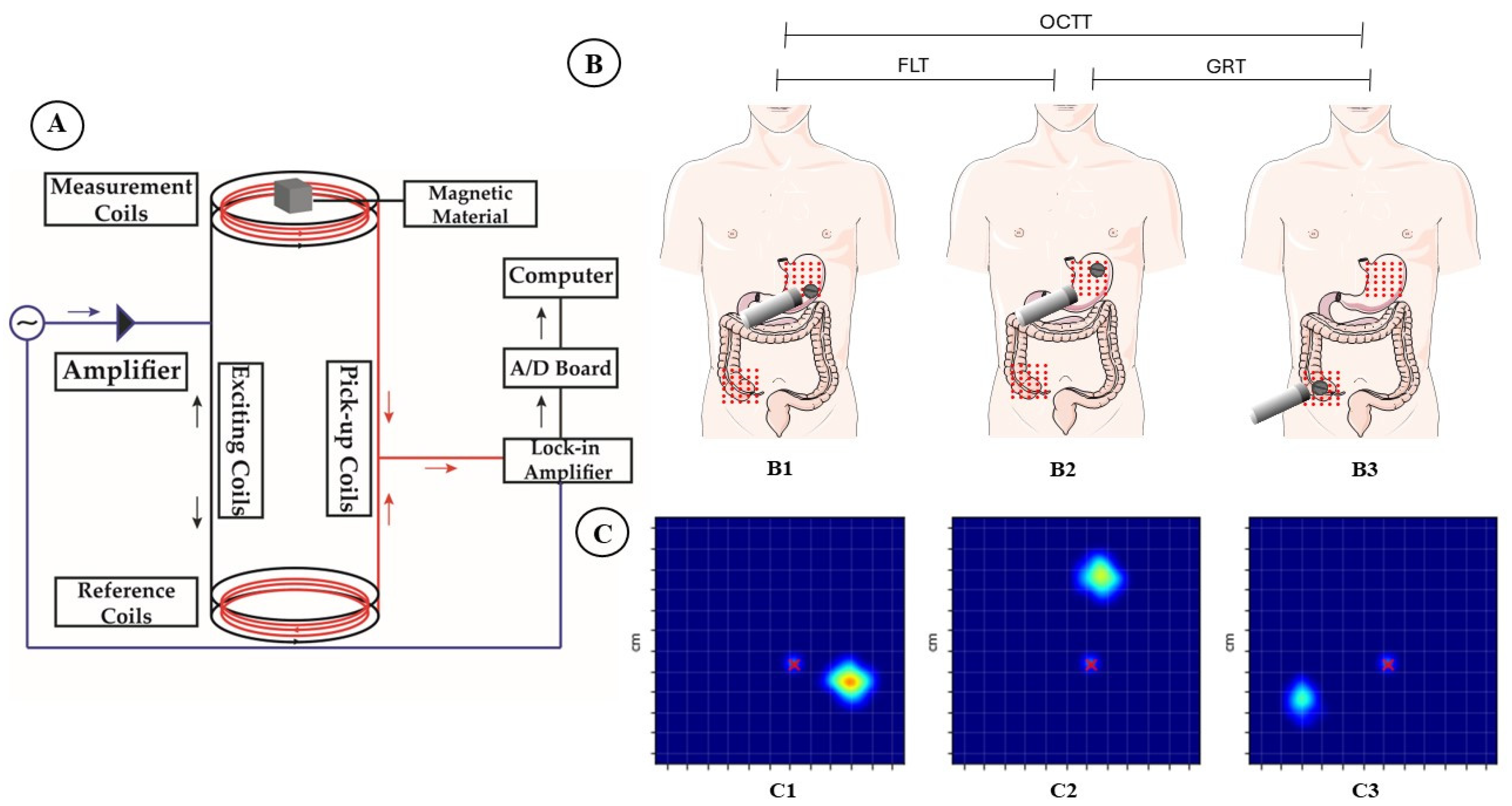 Pharmaceutics 16 00351 g001