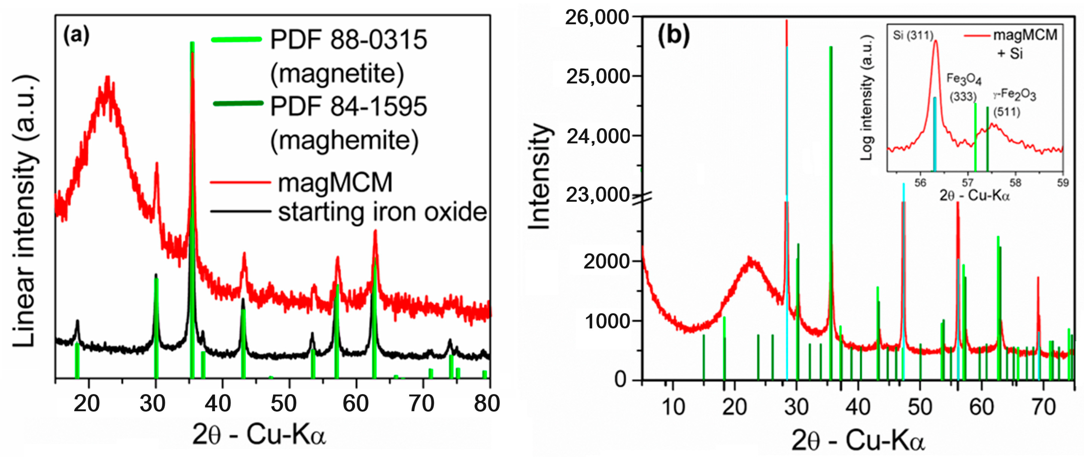 Pharmaceutics 16 00357 g001
