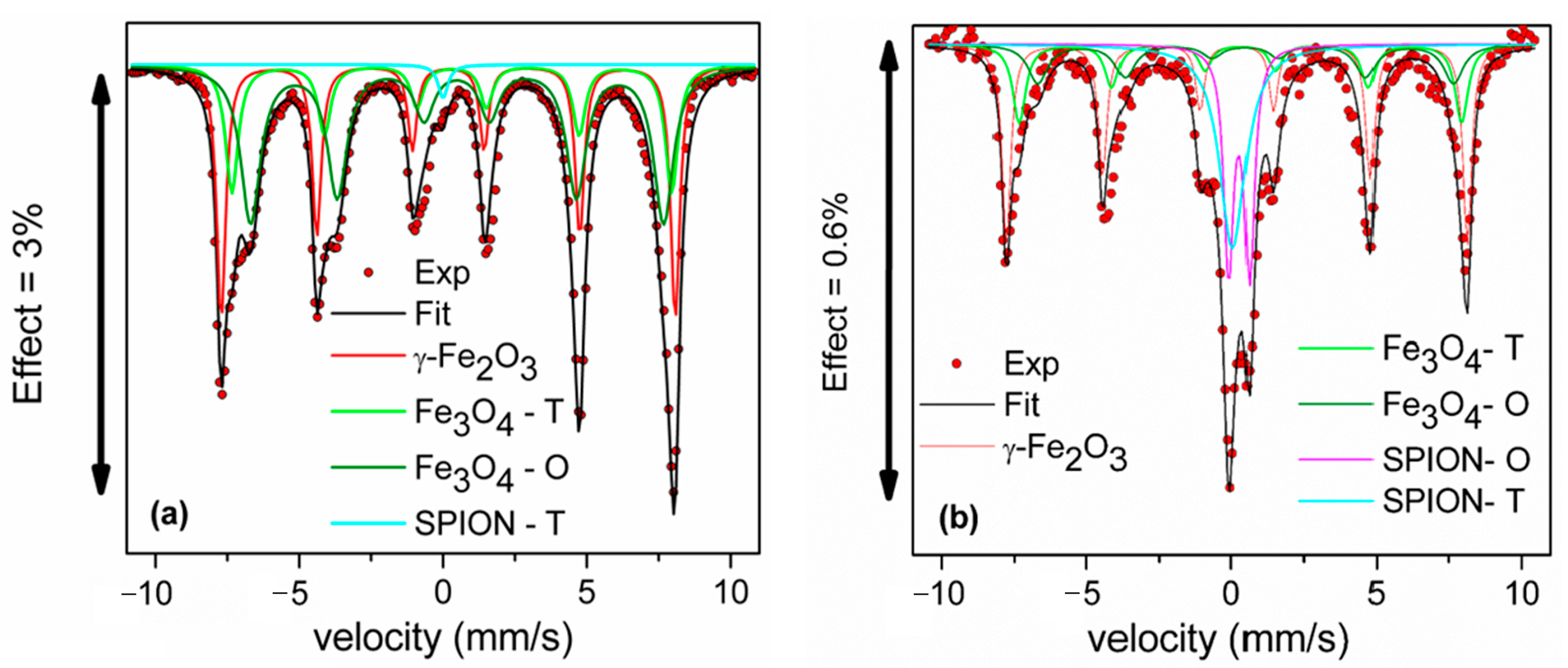 Pharmaceutics 16 00357 g002