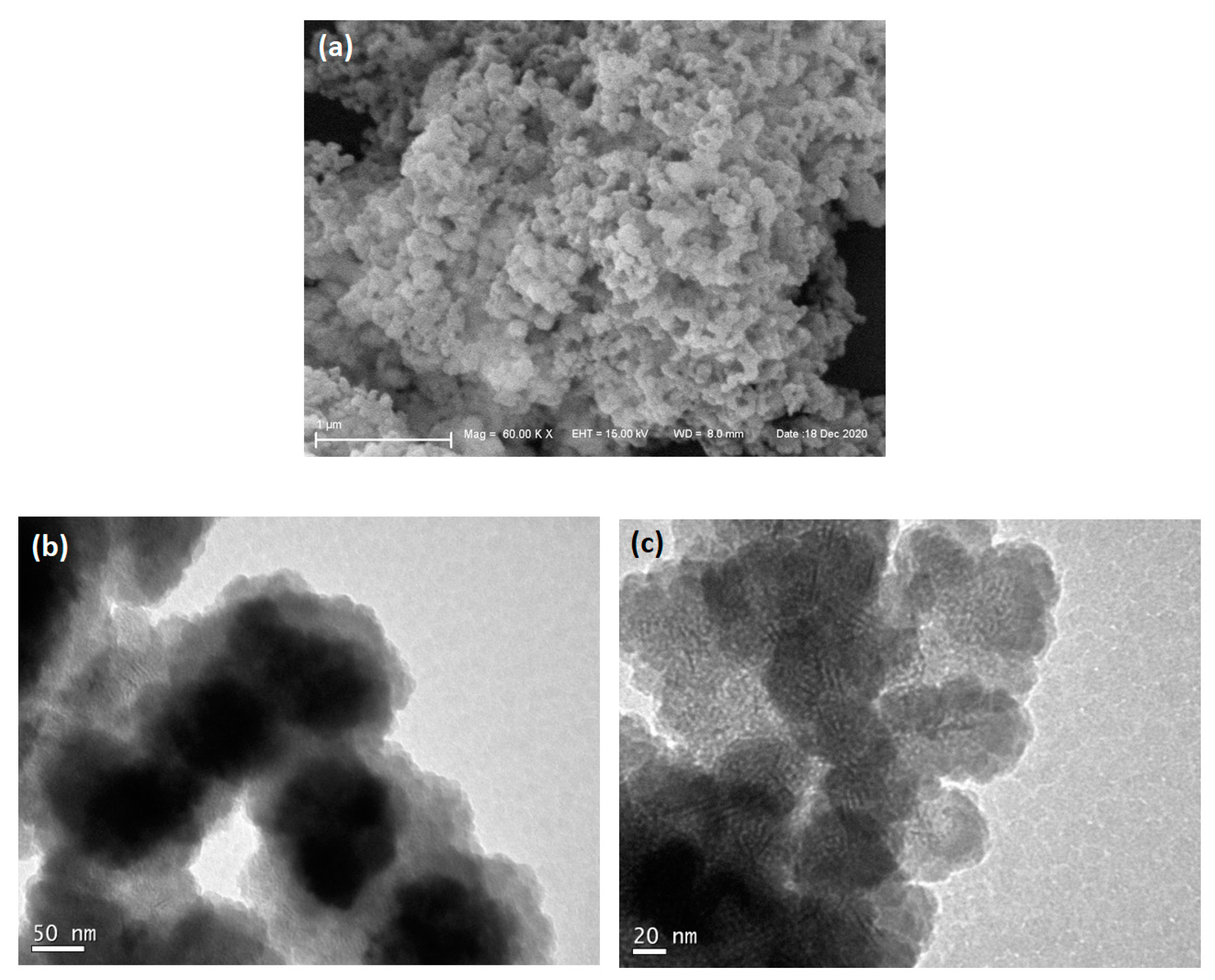 Pharmaceutics 16 00357 g004