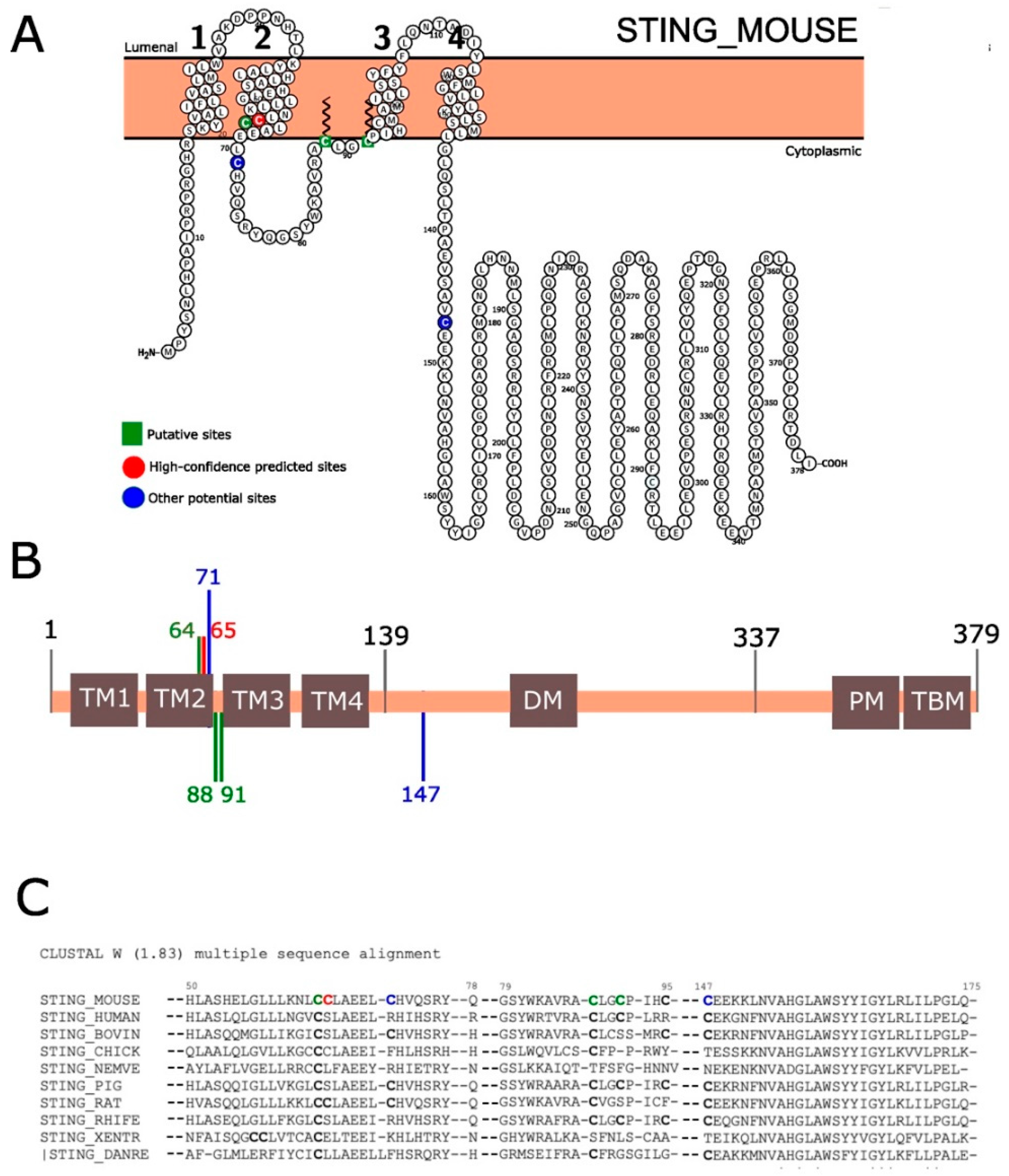 Pharmaceutics 16 00363 g001