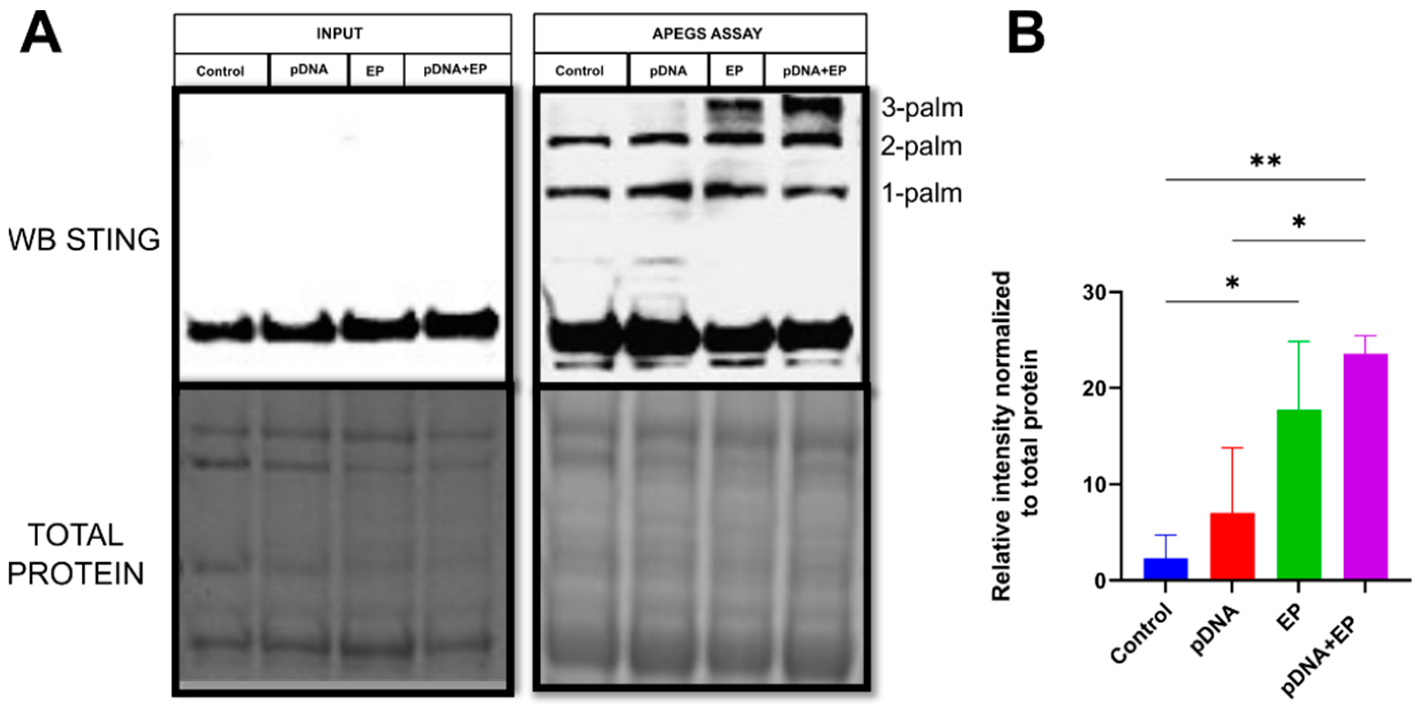 Pharmaceutics 16 00363 g002
