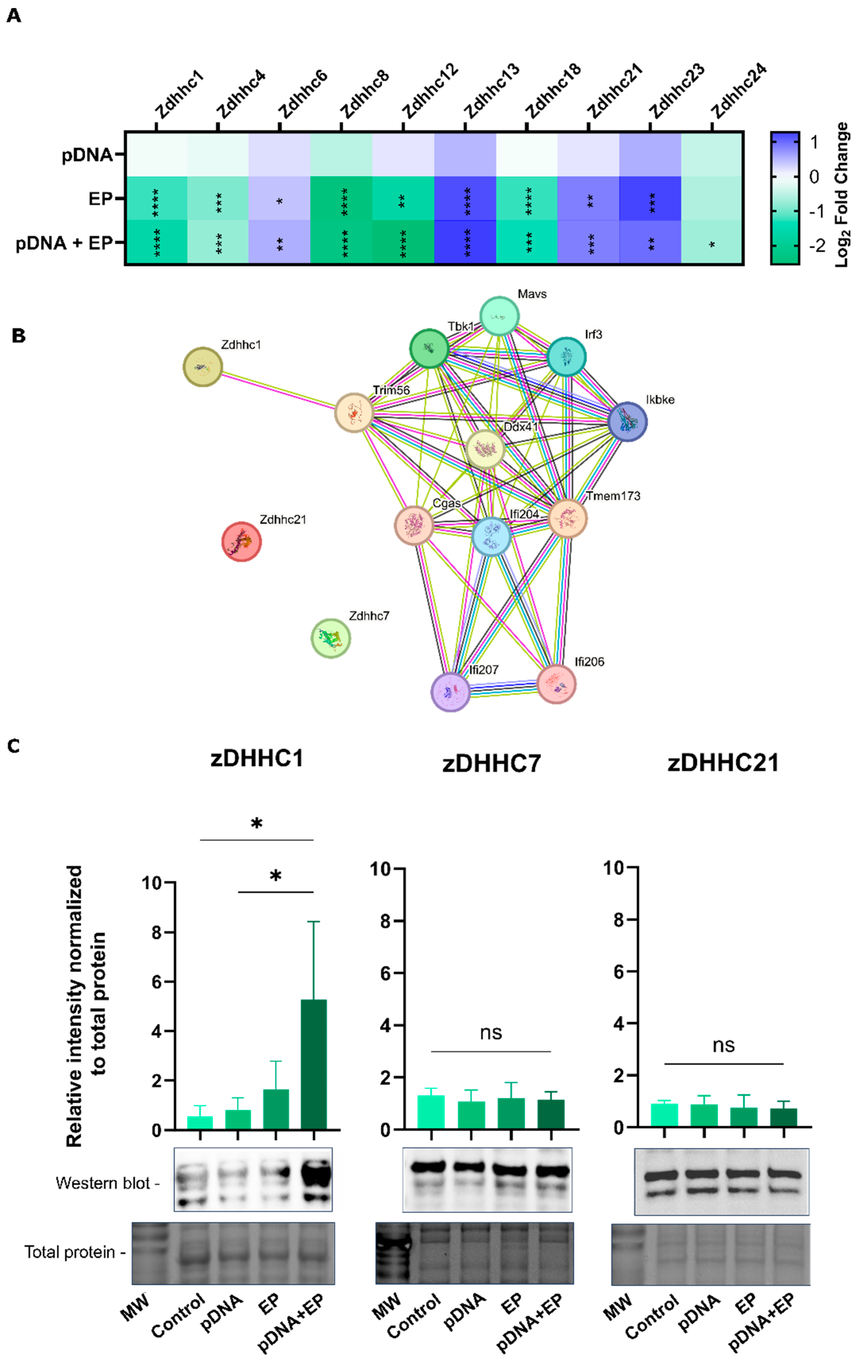 Pharmaceutics 16 00363 g005