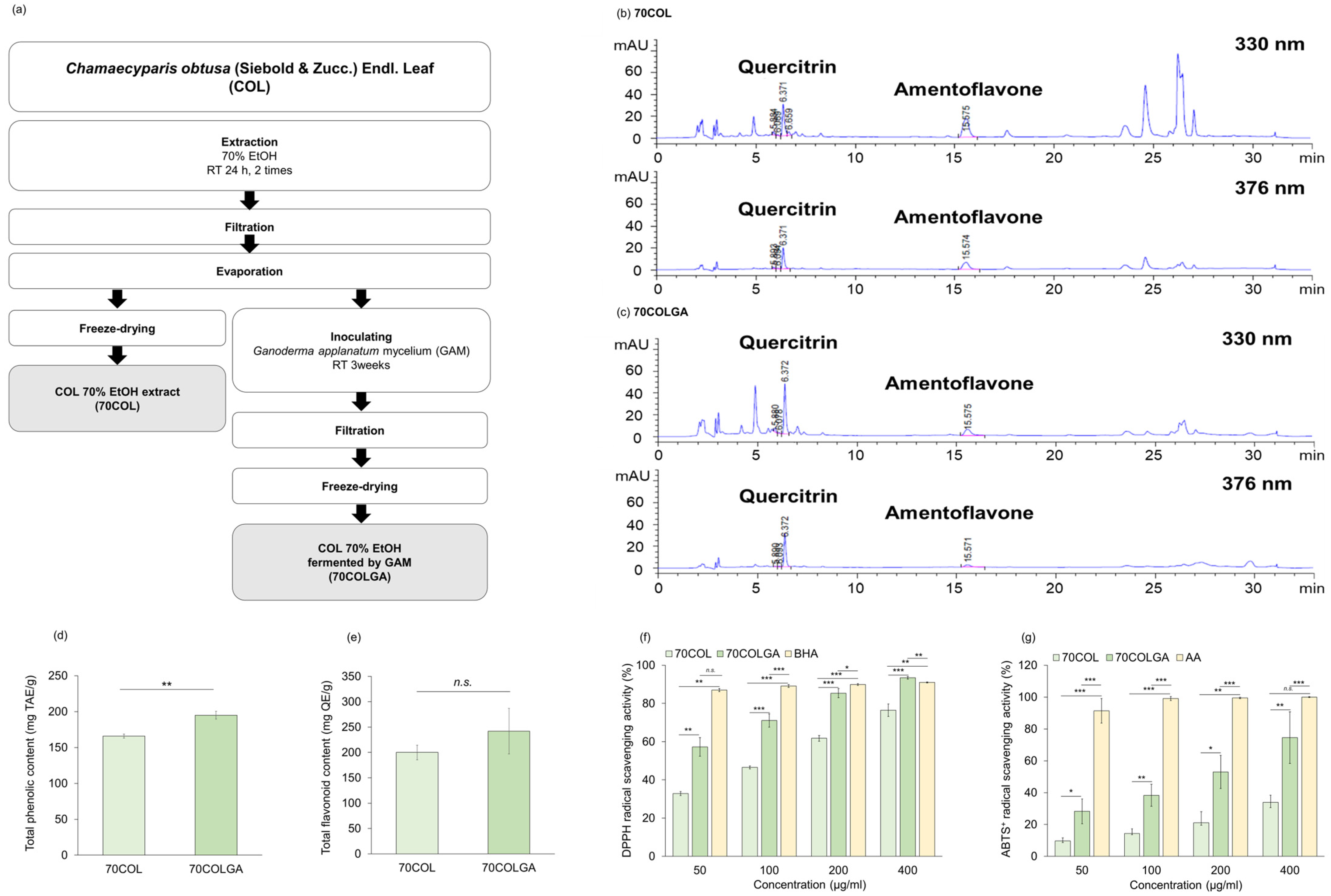 Pharmaceutics 16 00365 g001