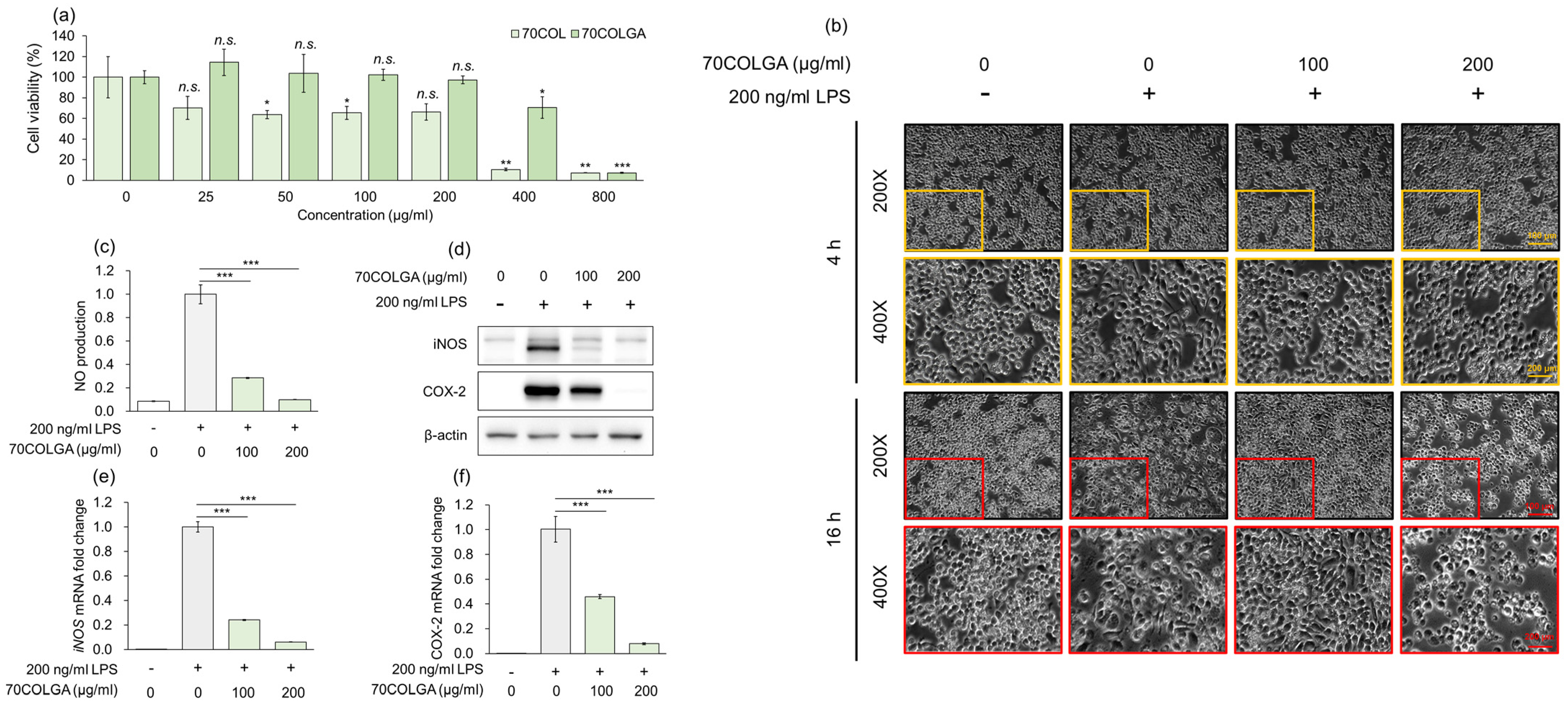 Pharmaceutics 16 00365 g002