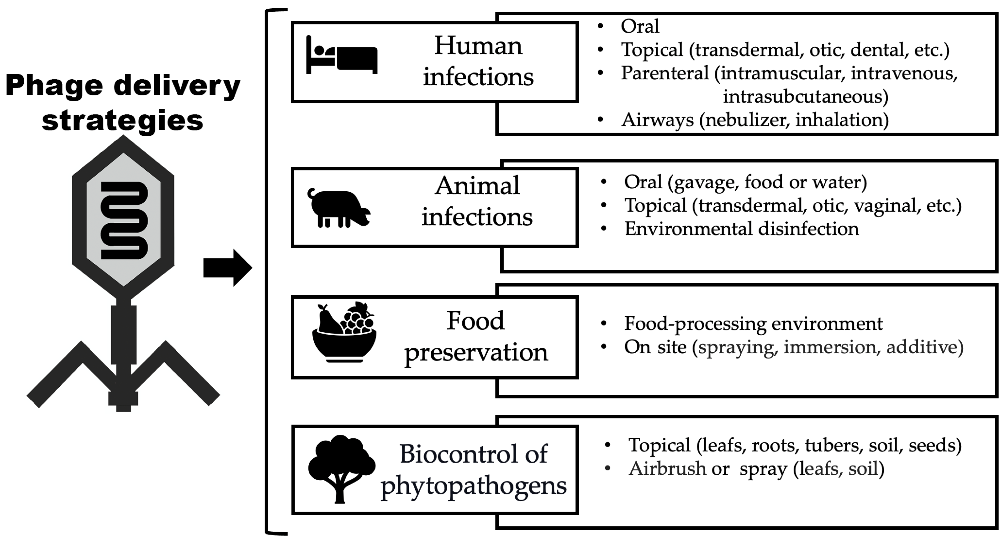 Pharmaceutics 16 00374 g003 Pharmaceutics 16 00374 g003