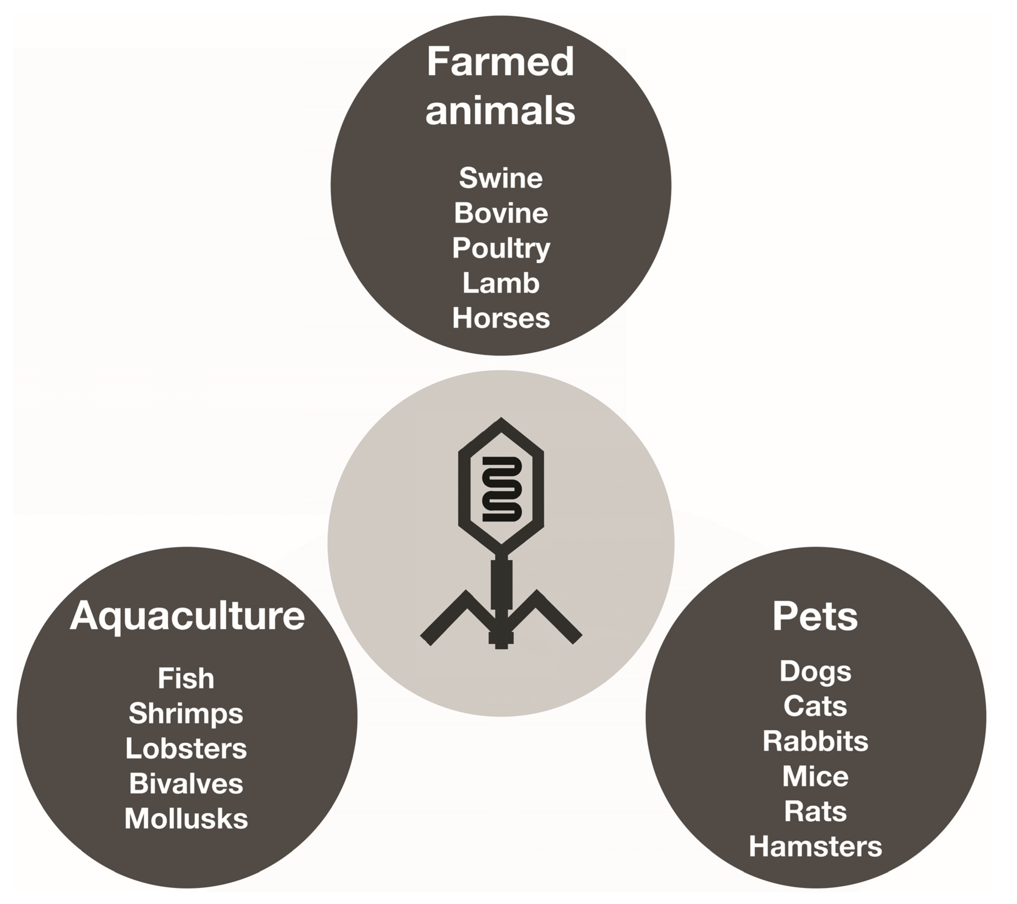 Pharmaceutics 16 00374 g004 Pharmaceutics 16 00374 g004