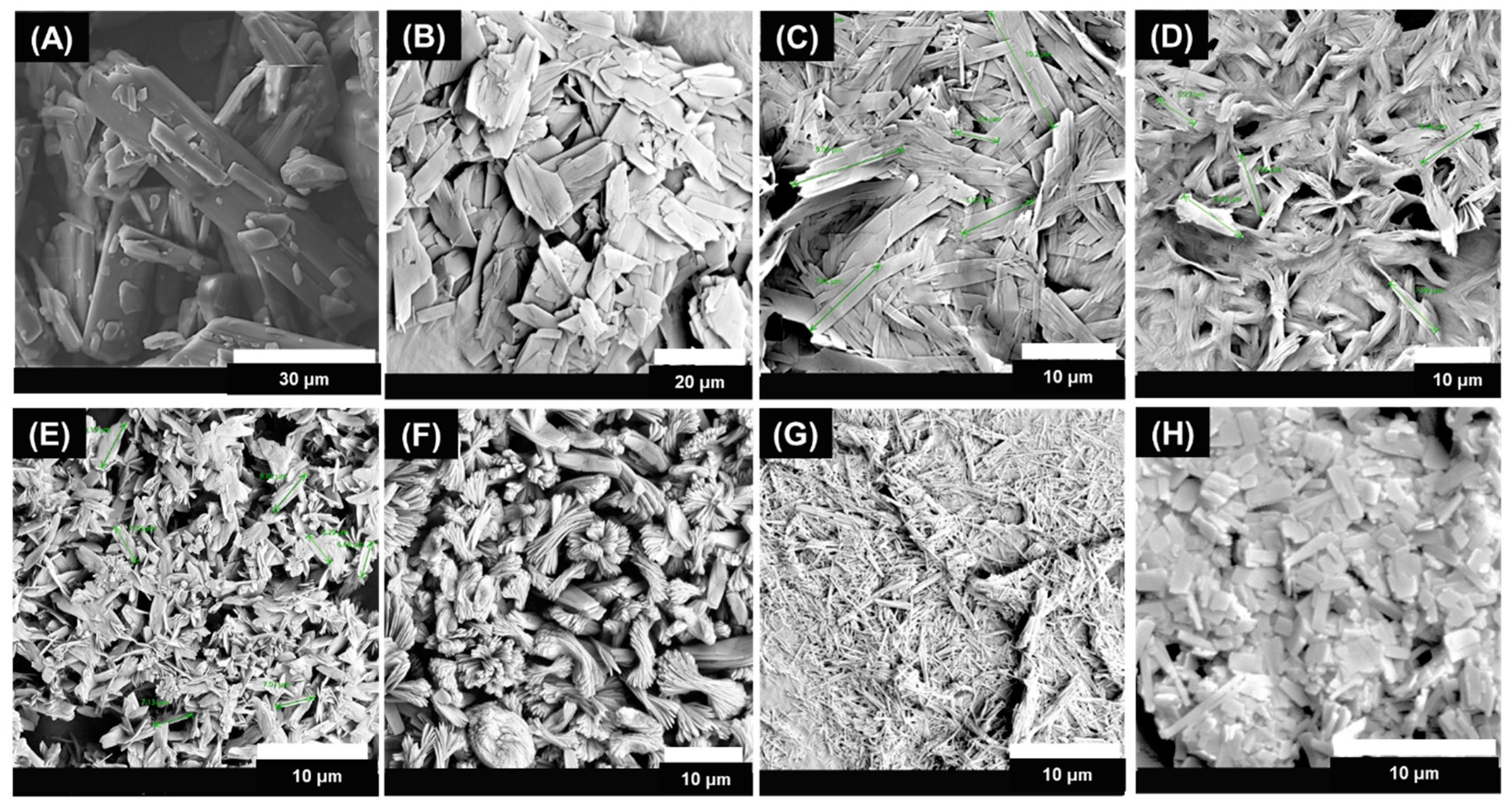 Pharmaceutics 16 00376 g005