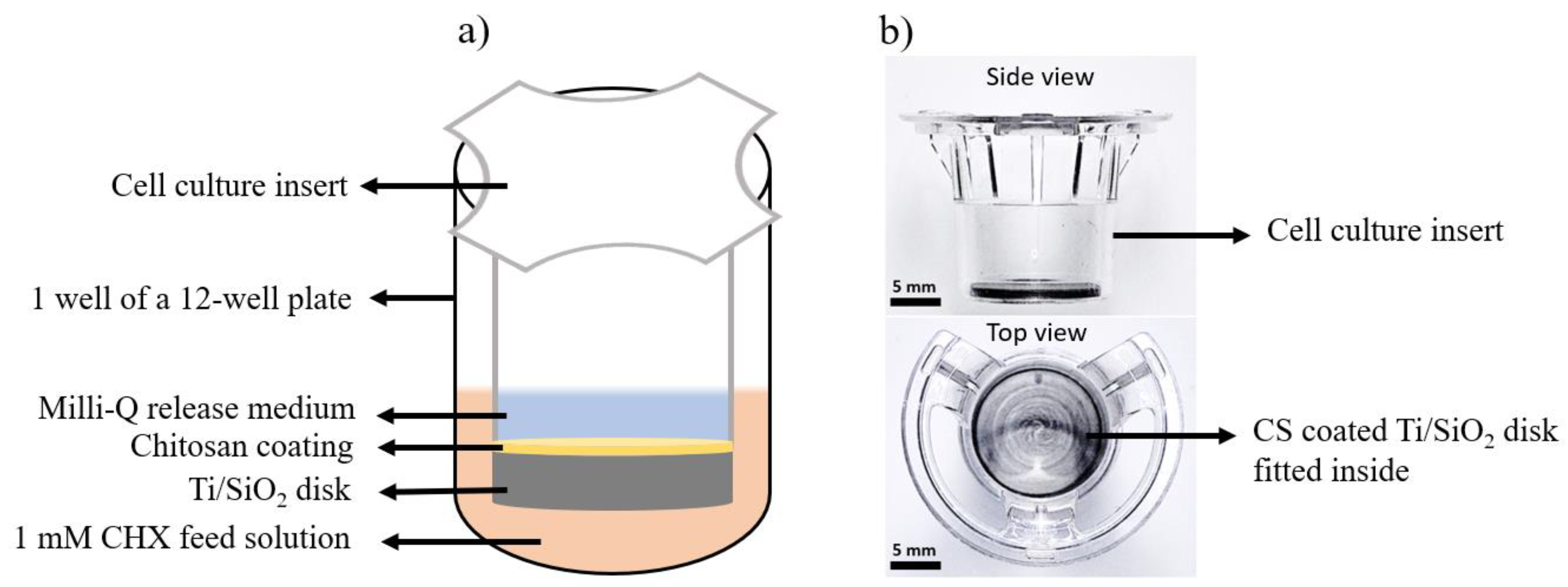 Pharmaceutics 16 00377 g001