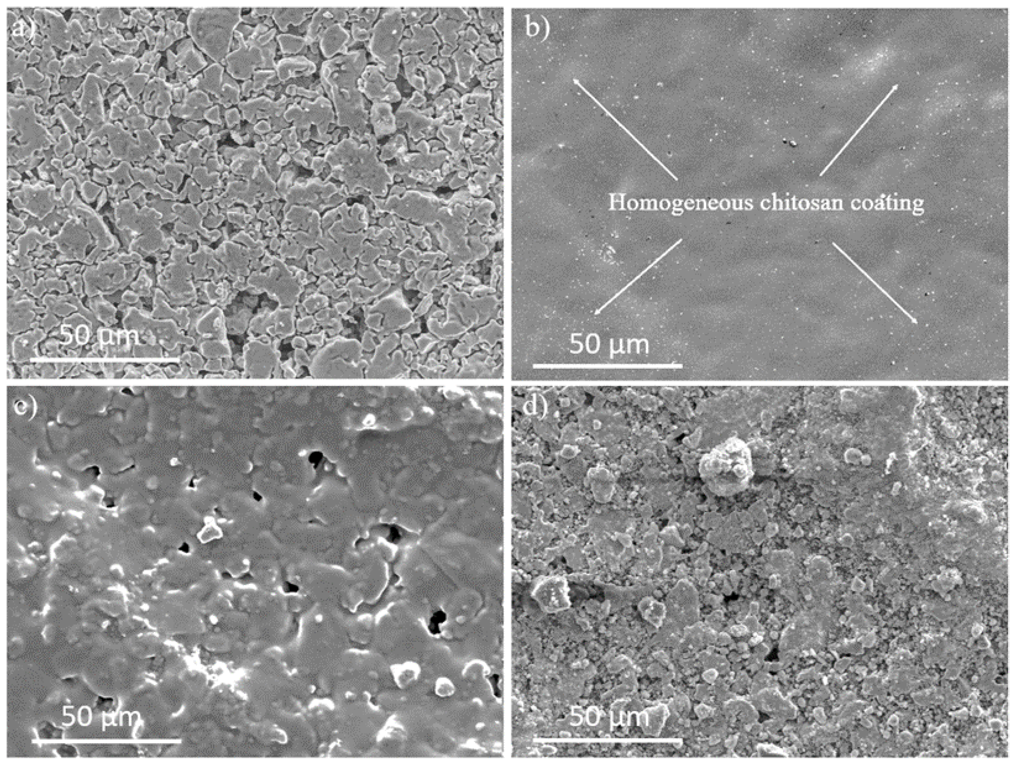Pharmaceutics 16 00377 g003